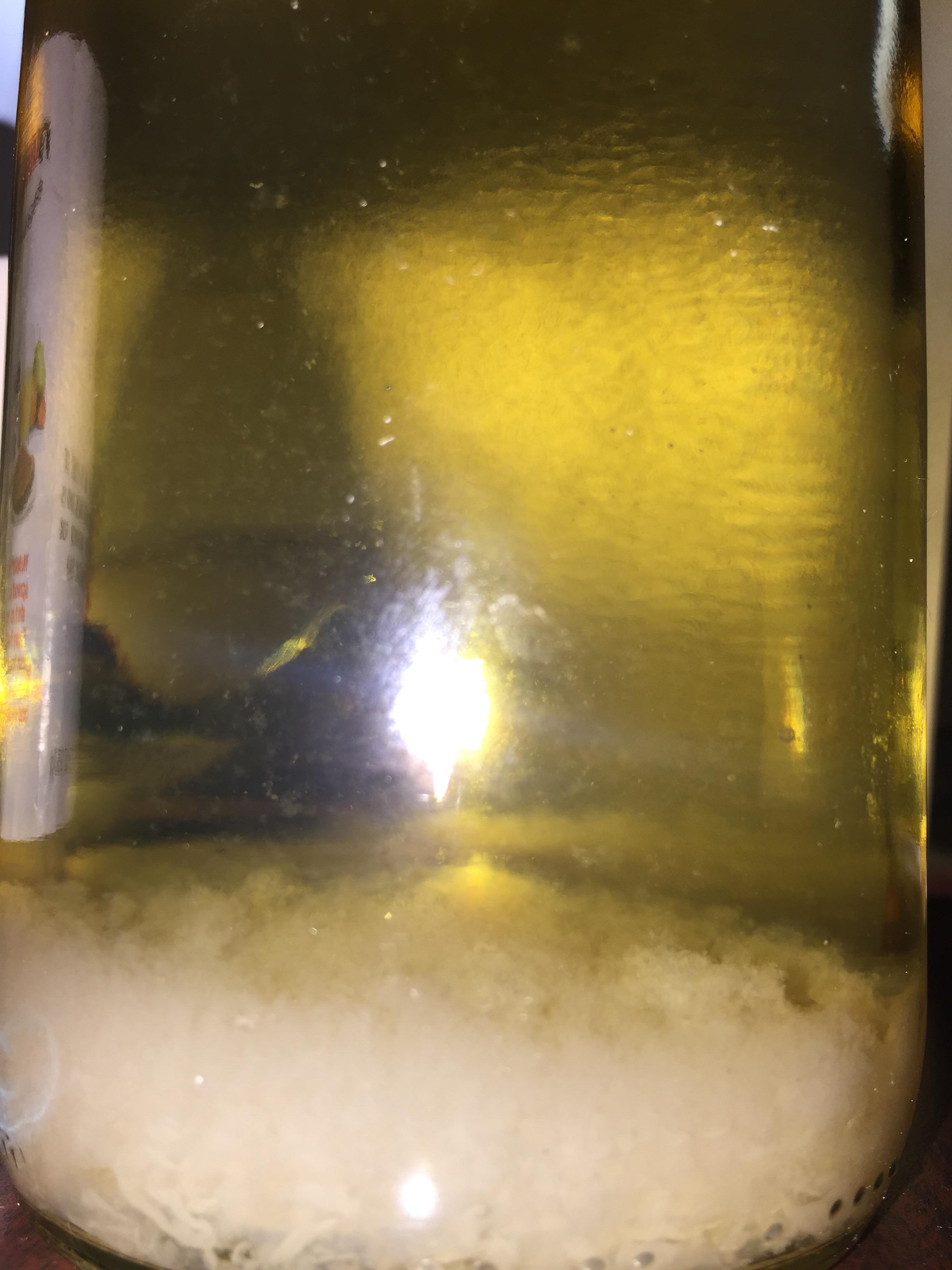 Is this mead safe to drink?? sediment looked normal for a while
