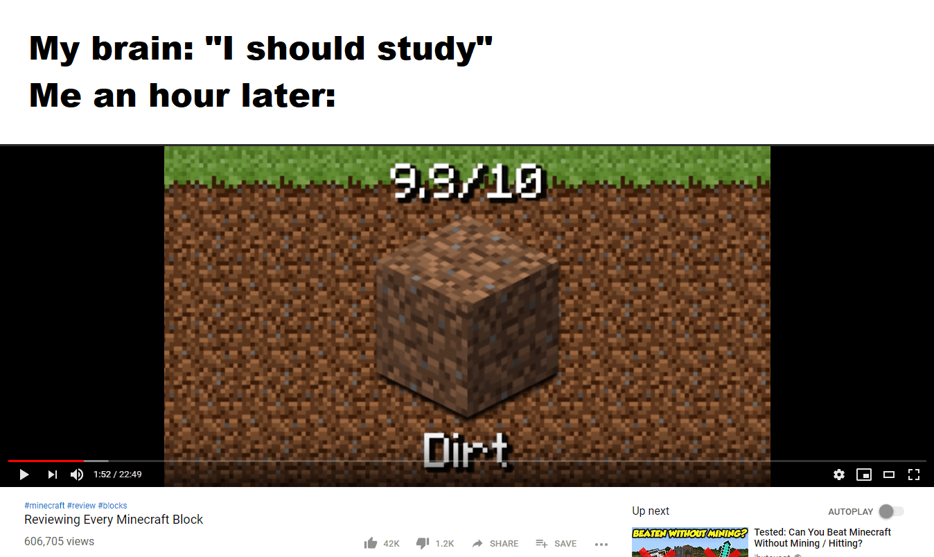 Reviewing every Minecraft block r/dankmemes