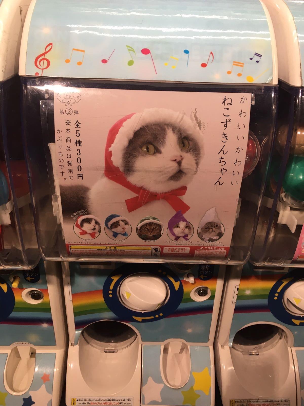 My friend found a hat vending machine for your cat in Japan r/funny