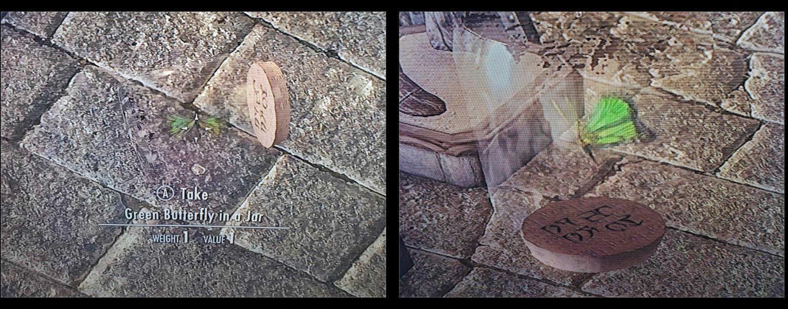 Green Butterfly in a Jar. What's up with that? No mods. r/skyrim