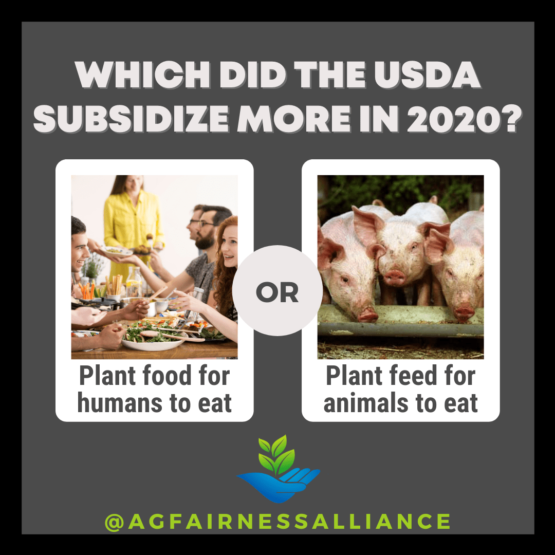 What do you think got more in subsidies last year in the US? Plant