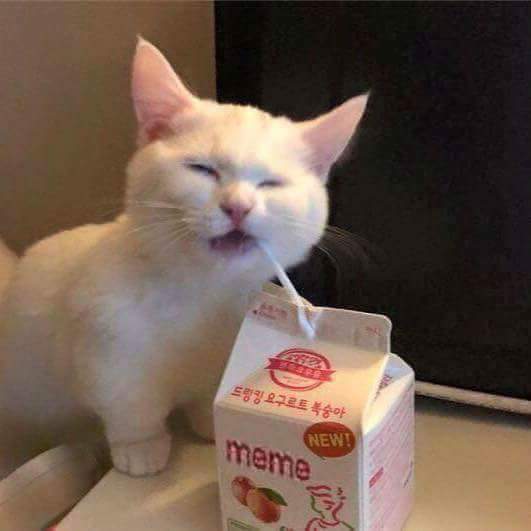 He not like the banana, but he like the milk. MildlyStartledCats