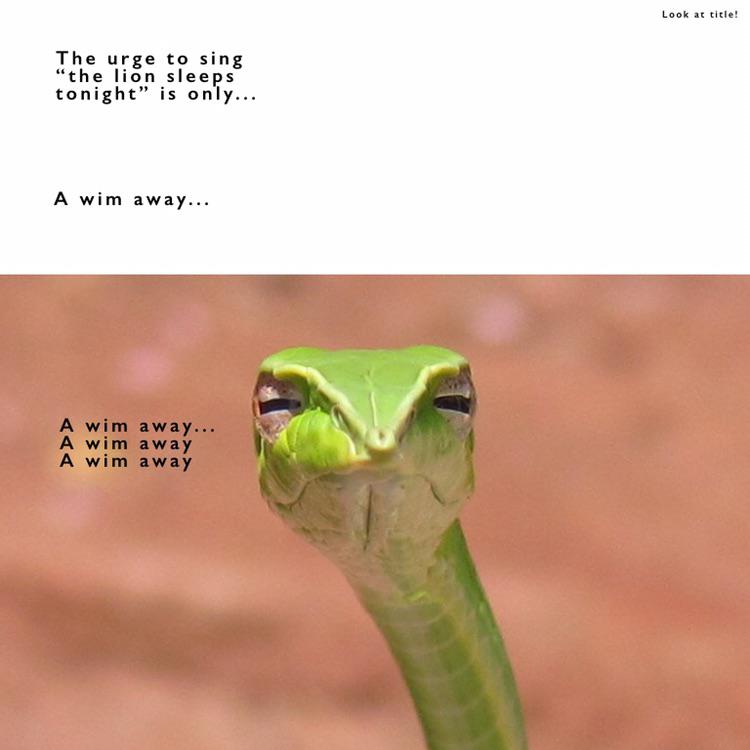 Help...i’m in pain! r/memes