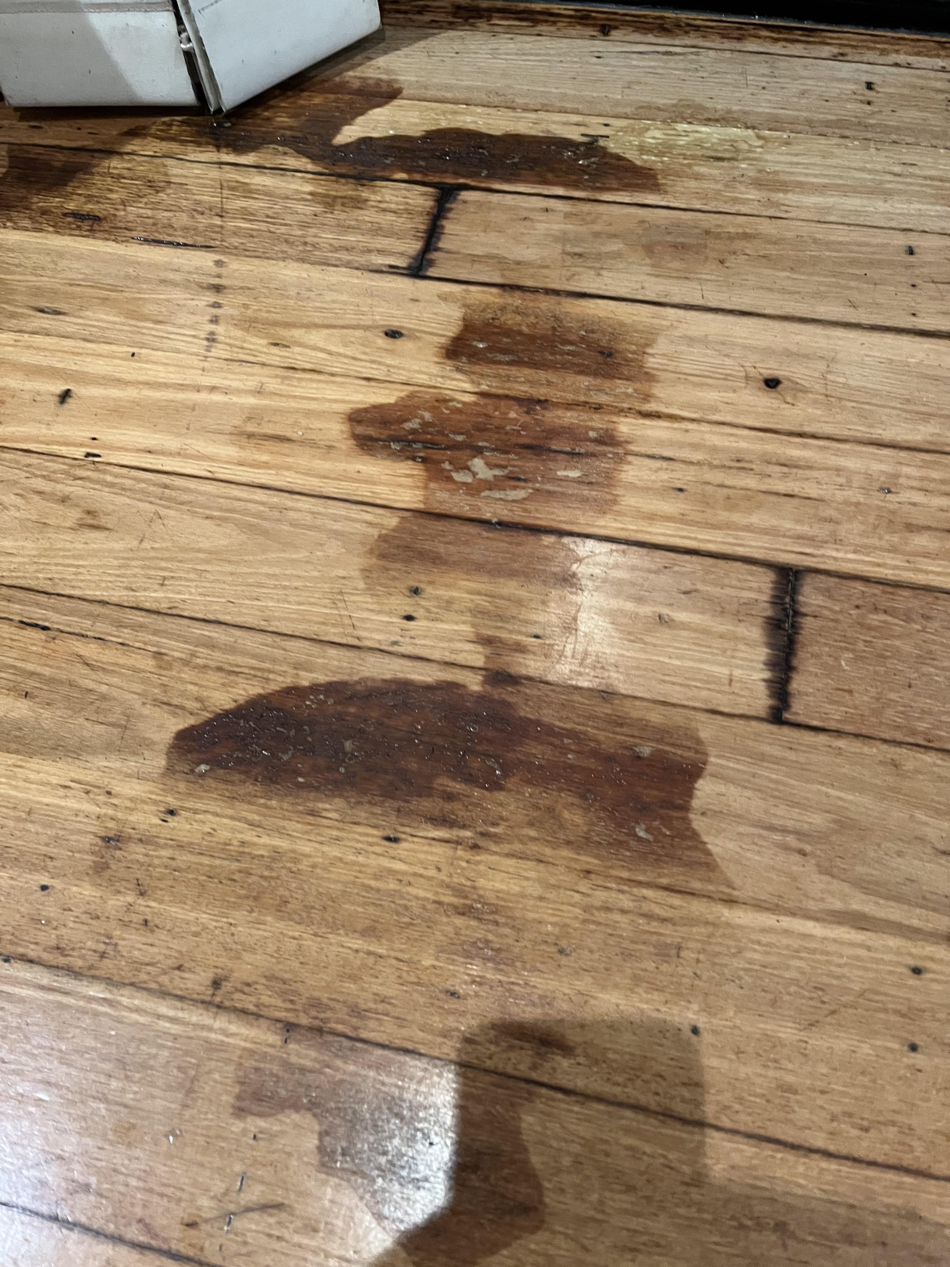 Dried dog pee on polished timber floor. Any tips? r/CleaningTips