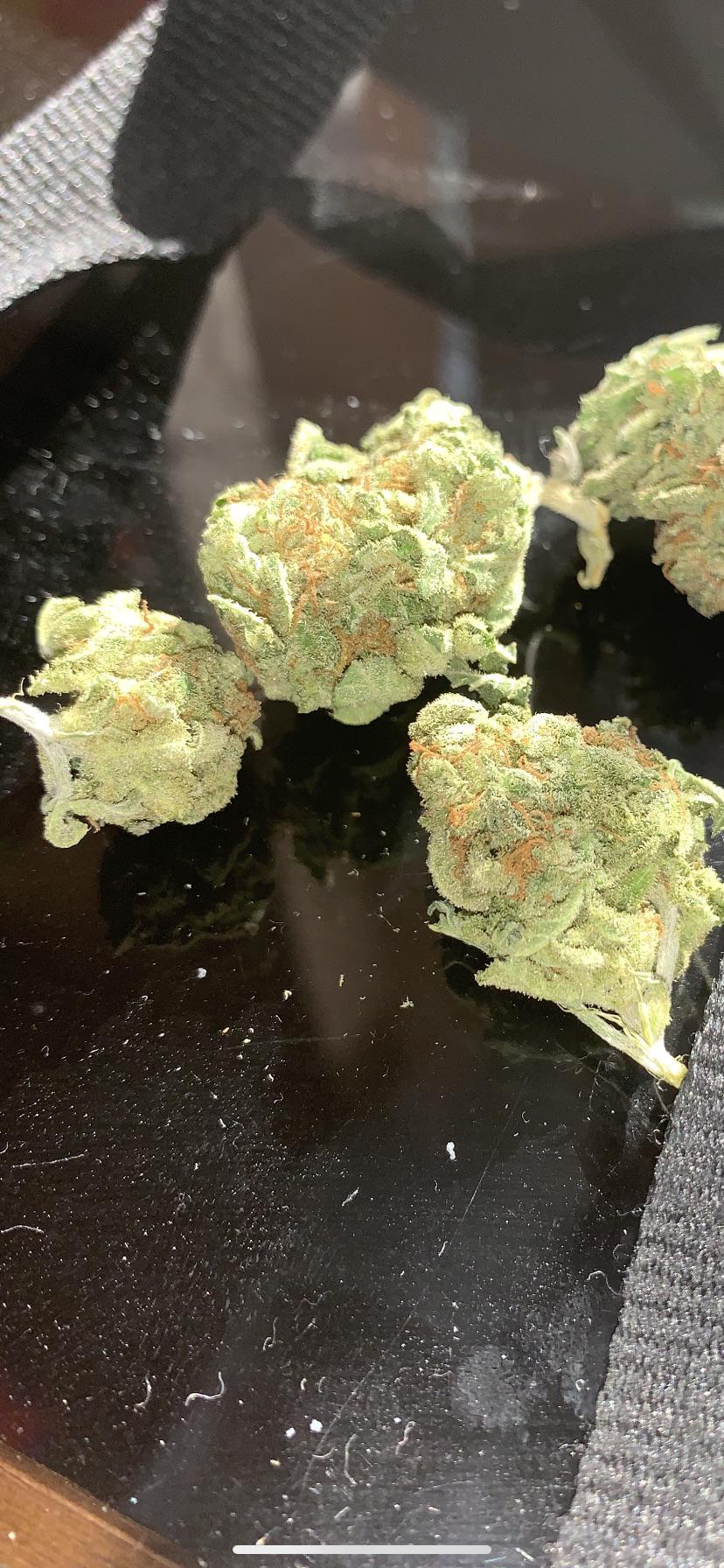 Sour Diesel r/trees