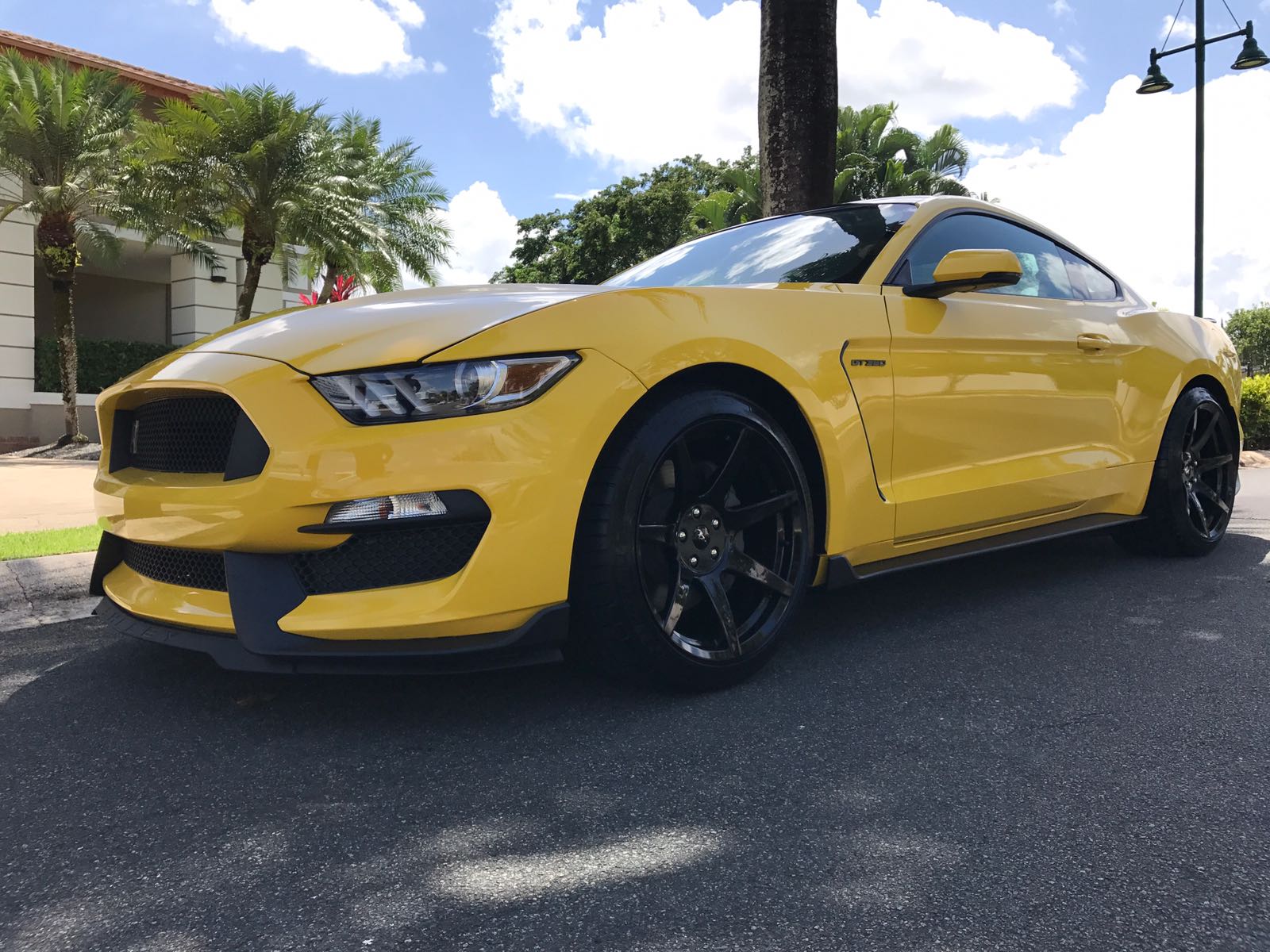 Eco Boost with GT350 Front bumper and GT350 fenders! r/Mustang