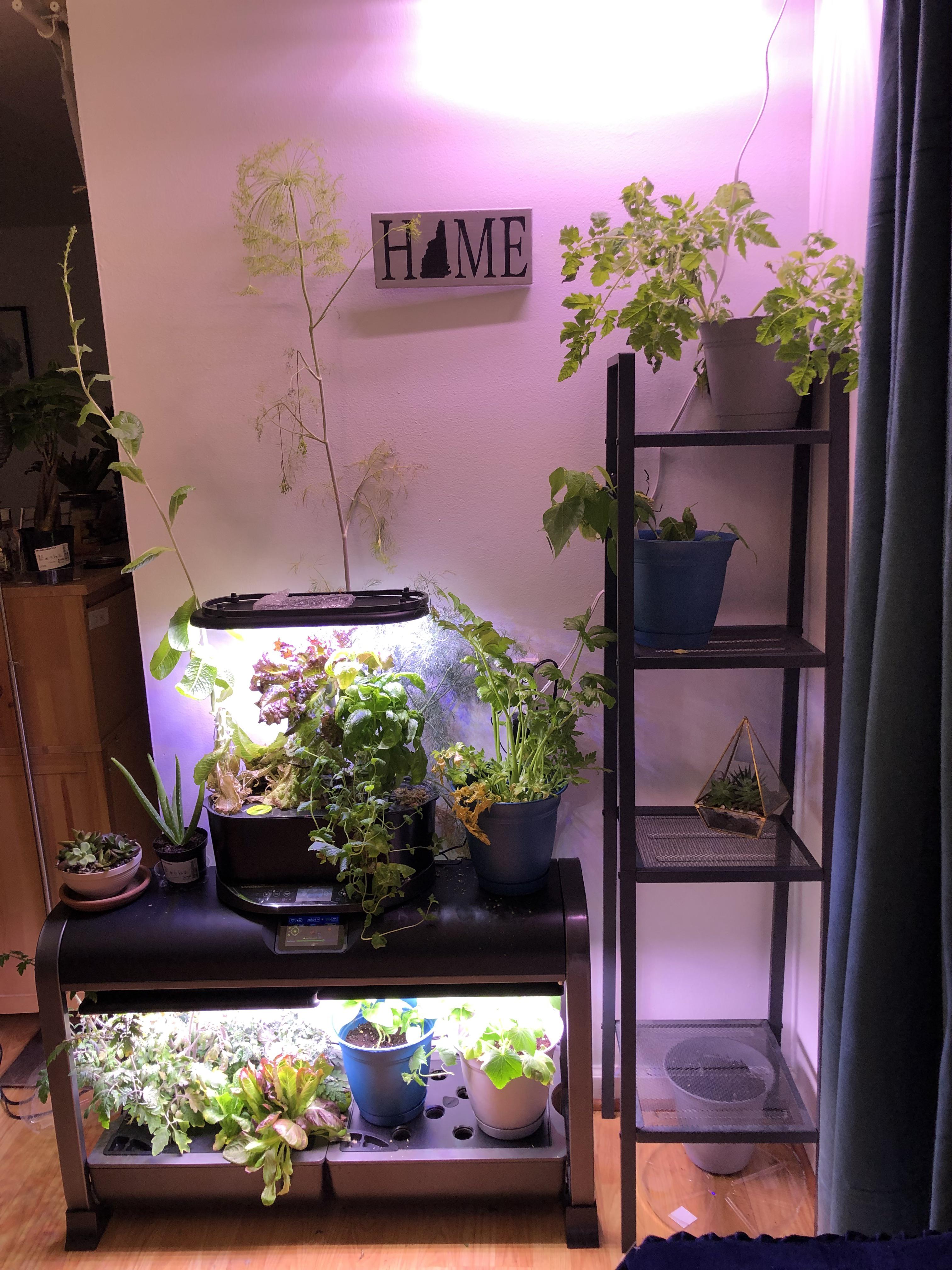 Indoor garden set up. Advice on anything that I should change? (I need