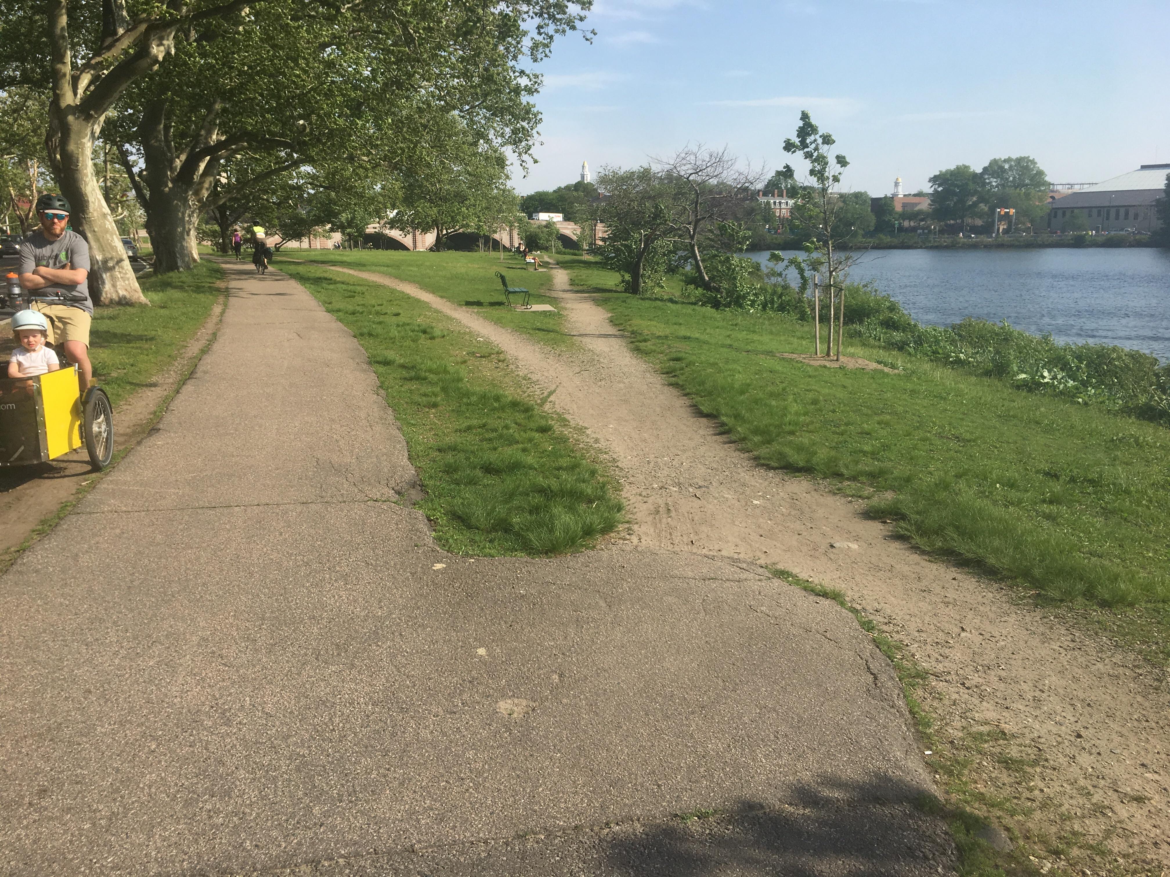 Interesting split path in Cambridge DesirePath