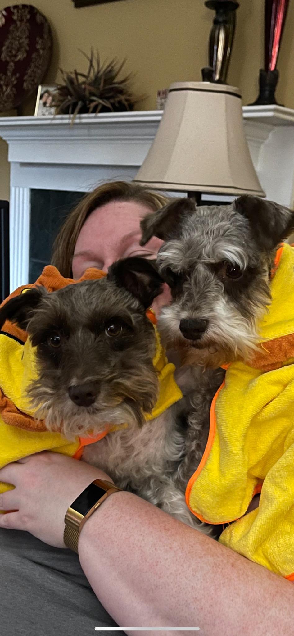 The dogs don't seem to appreciate my new aldi find r/aldi