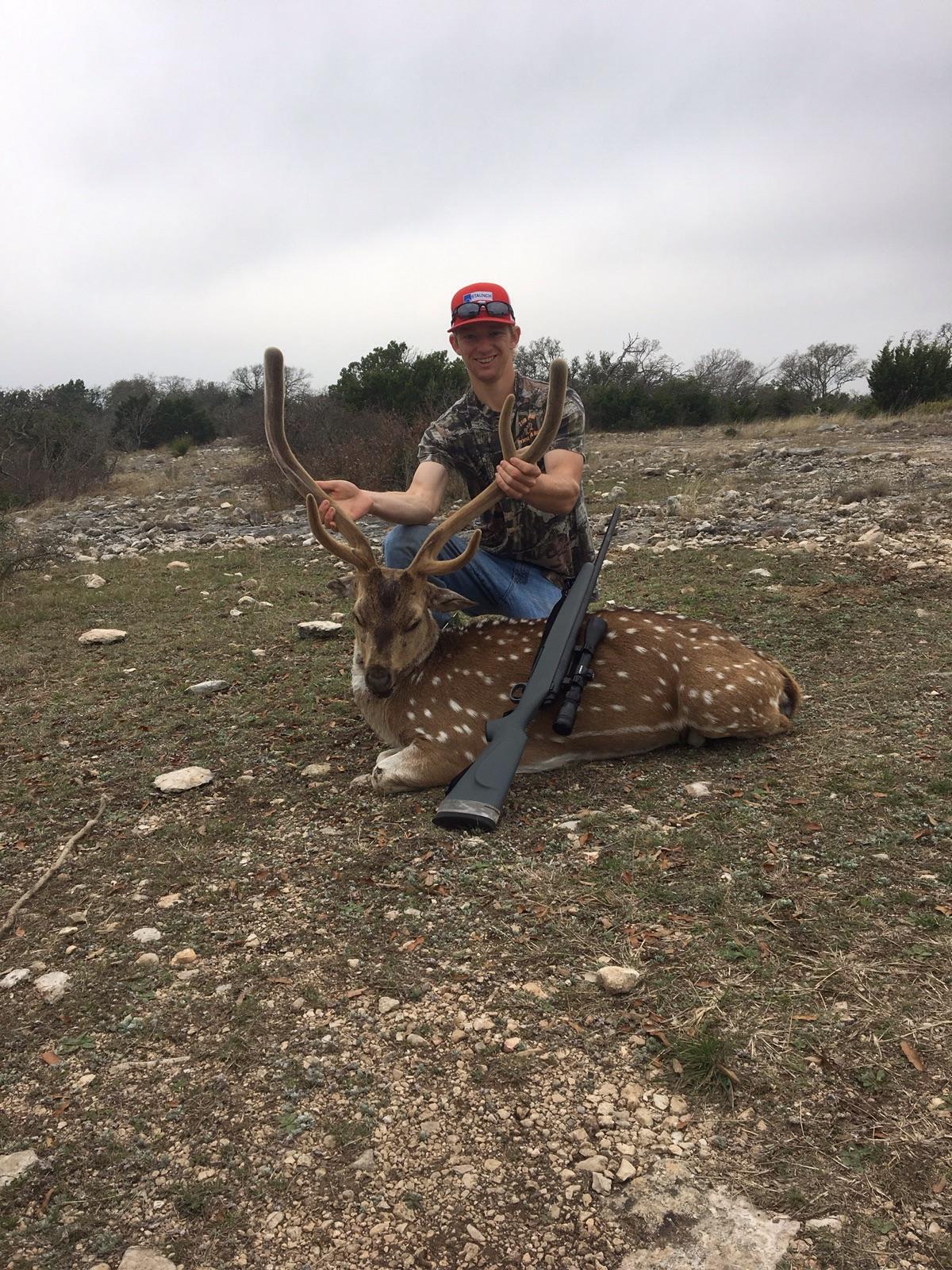 Texas hill country Axis deer I got in velvet a couple of weeks ago. r