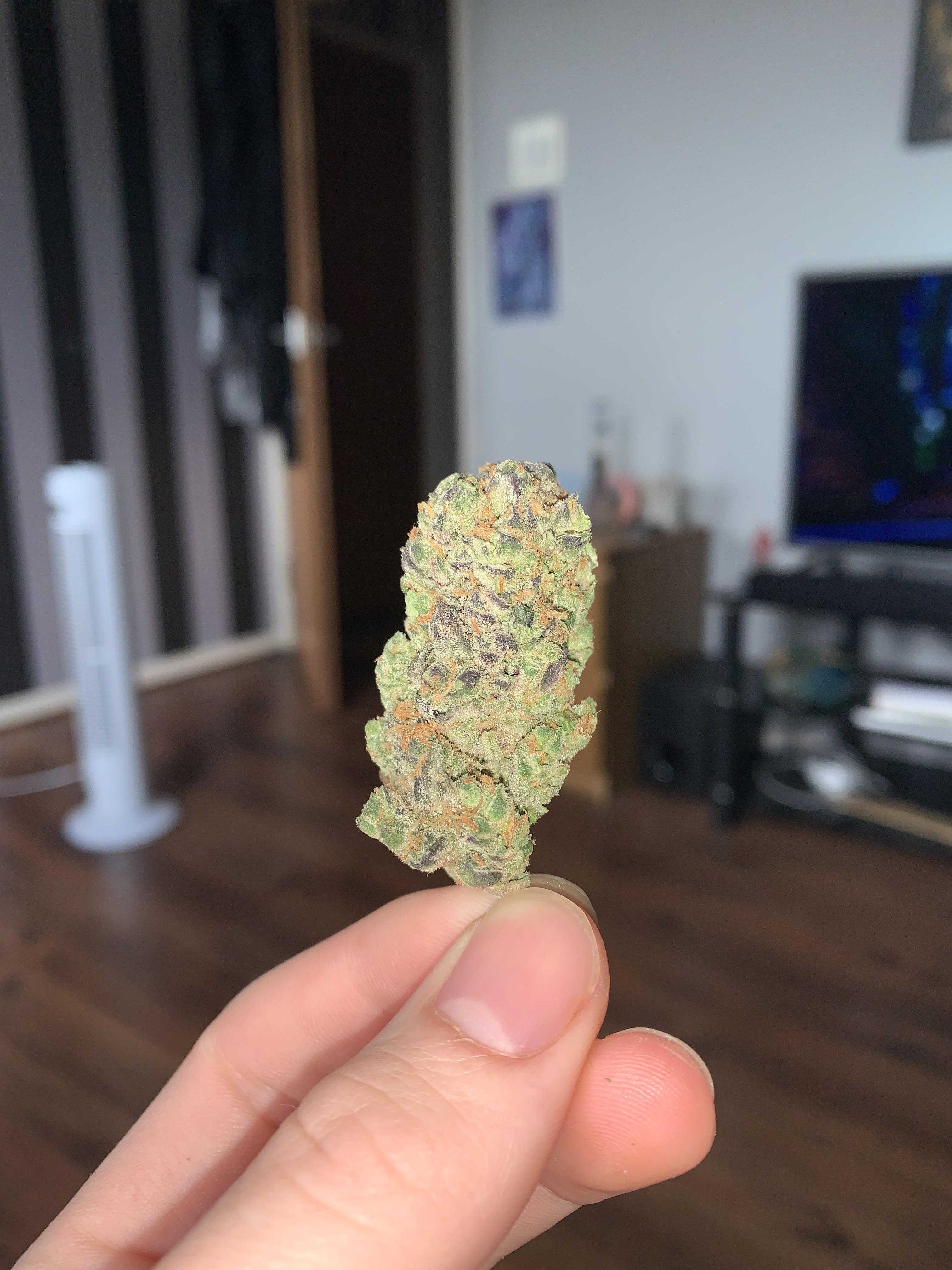 UK gmo cookies r/uktrees