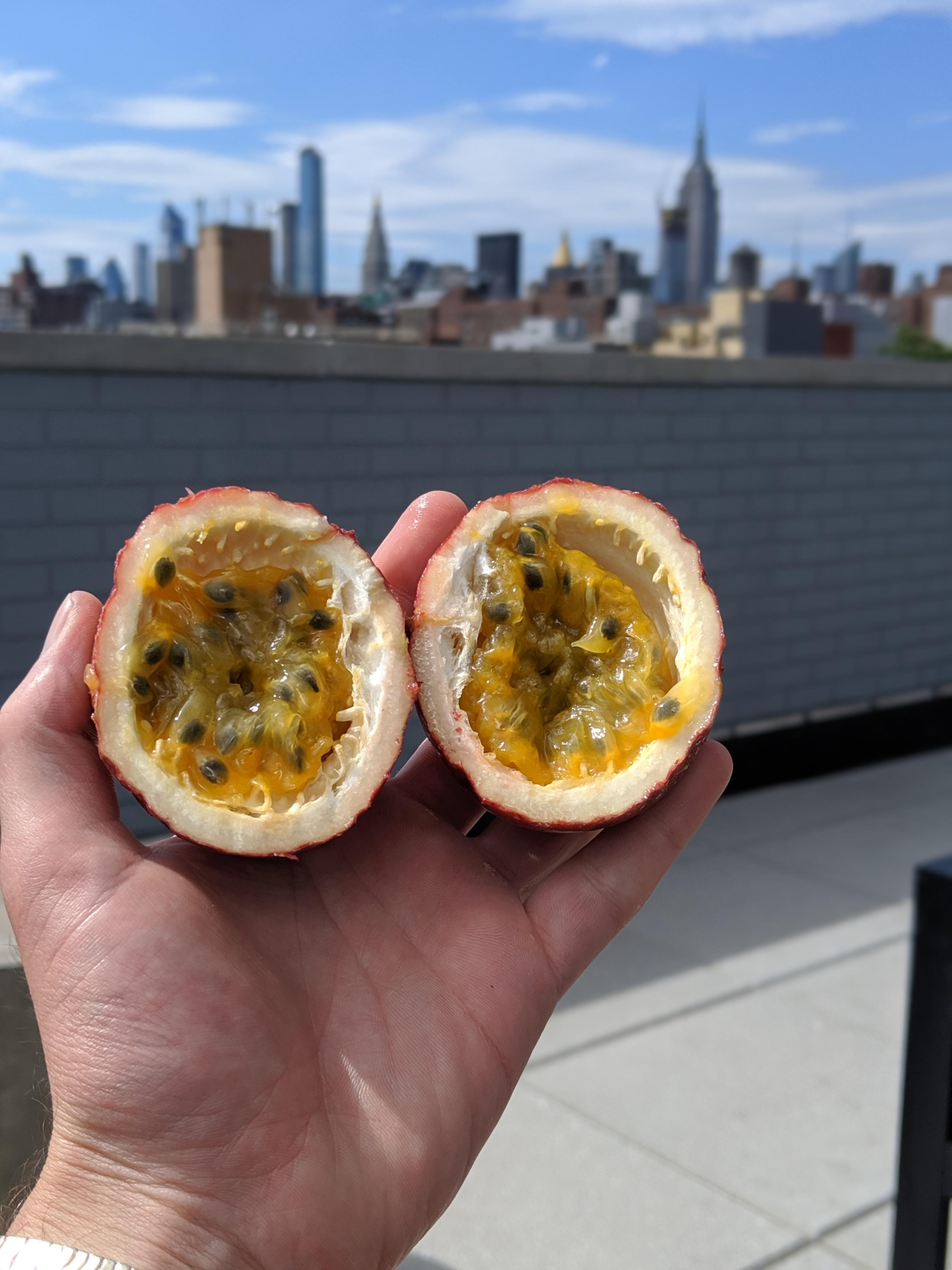 Anyone know where to get passion fruit? r/nyc
