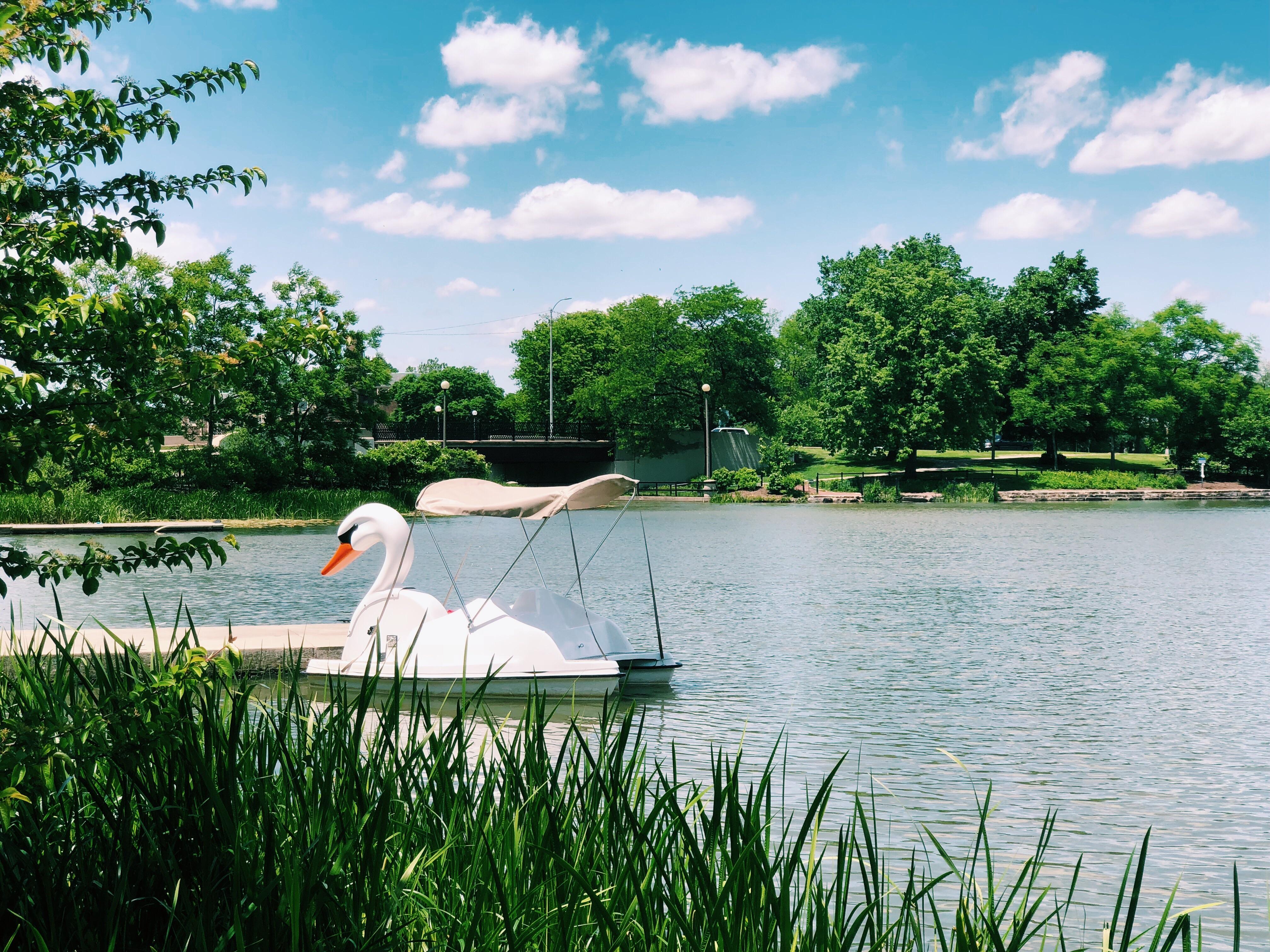 you can now rent swan paddle boats at humboldt park r/chicago