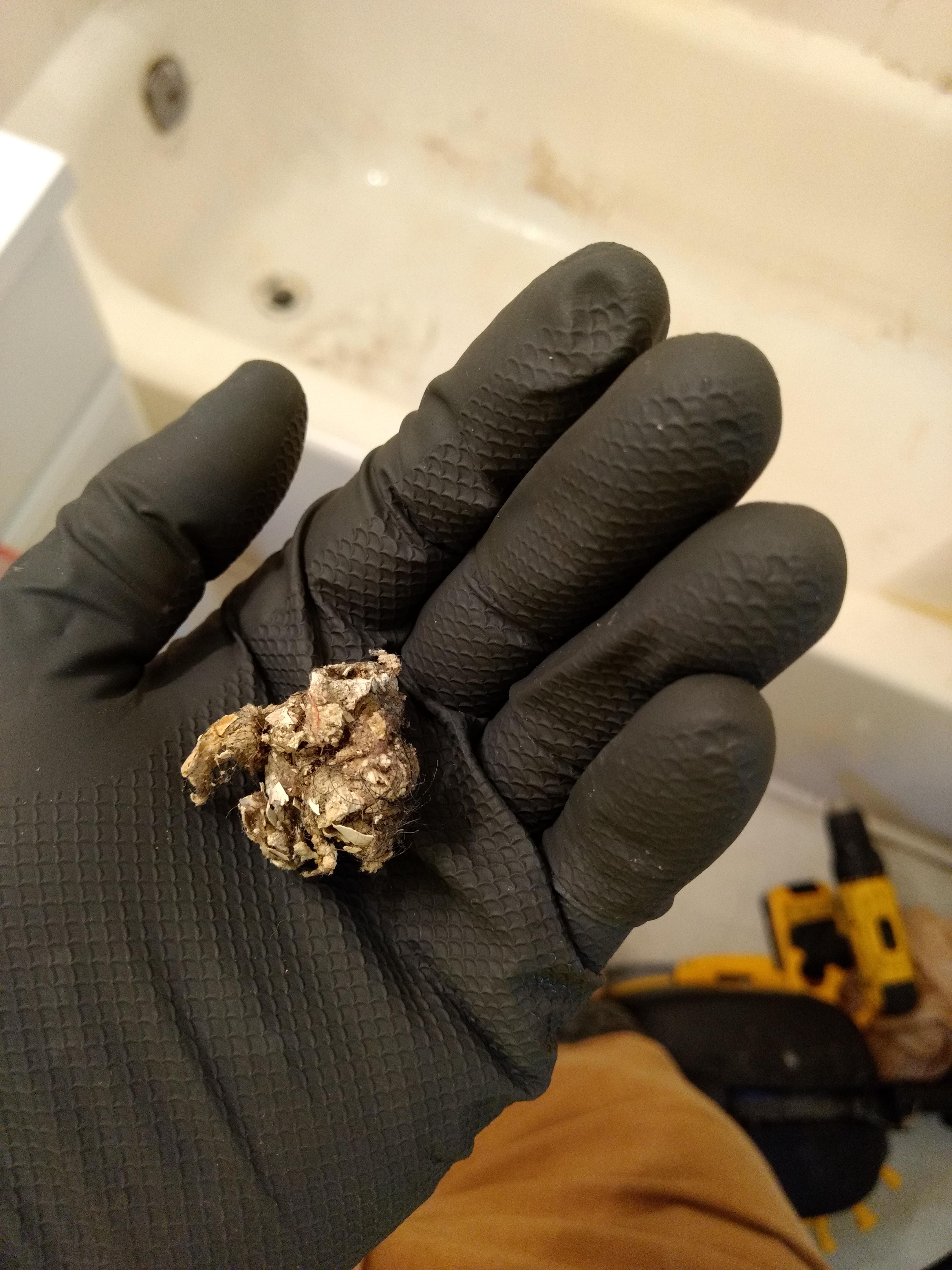 How would you unclog hardened paint from cast iron? r/Plumbing