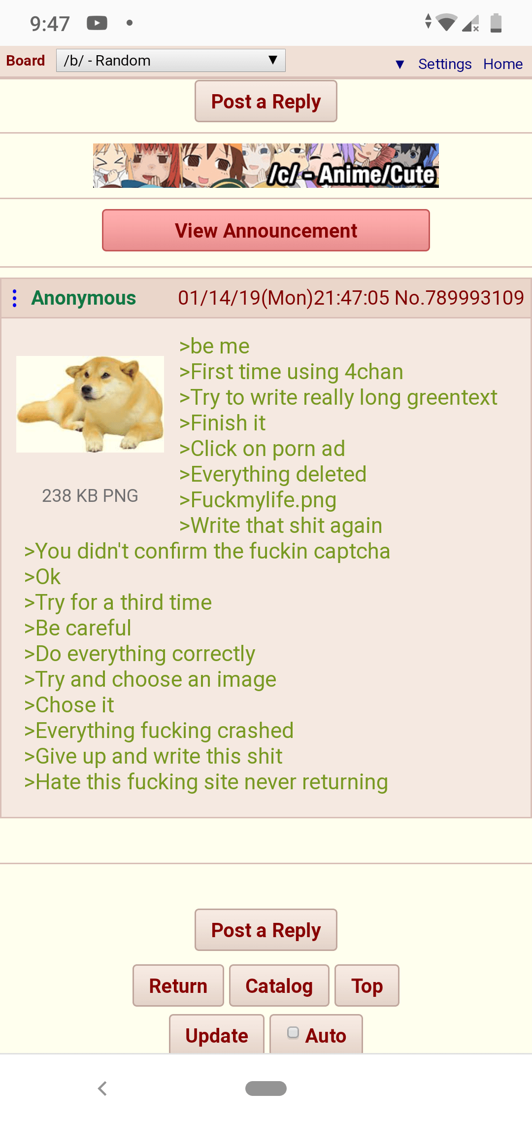 Anon doesn't understand 4chan. greentext