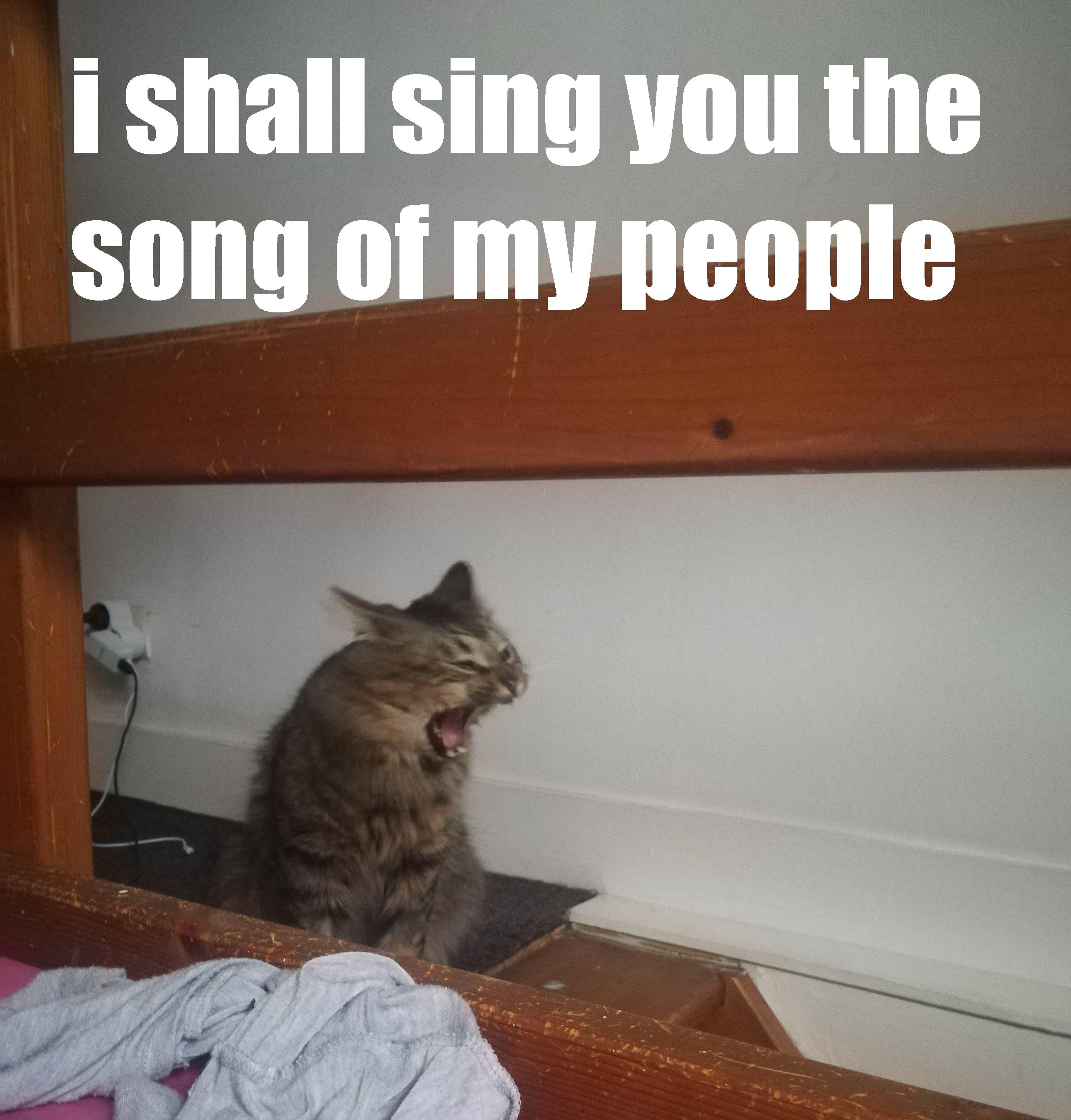 I shall sing you the song of my people meme