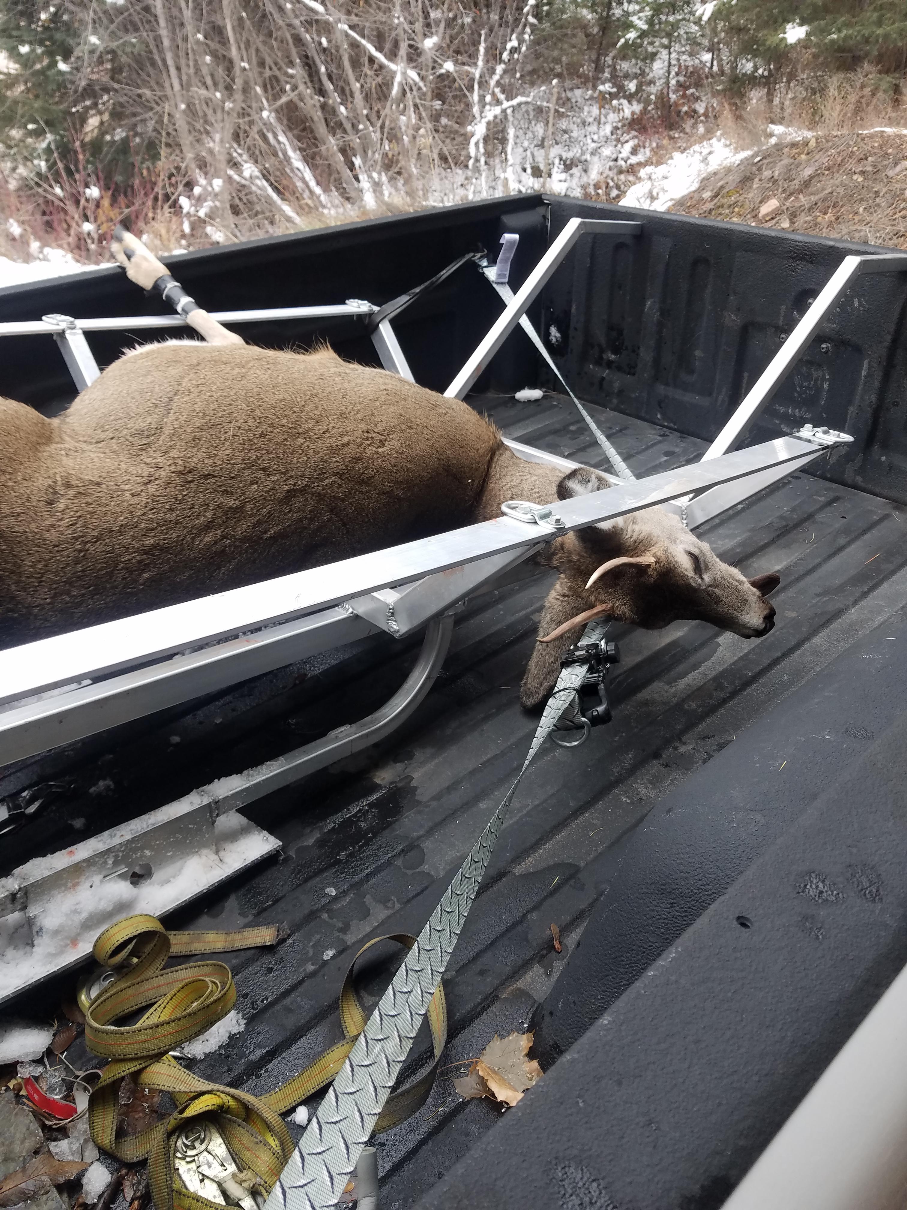 Spike shot last weekend in MT. Got to try the homemade game cart. 2 elk