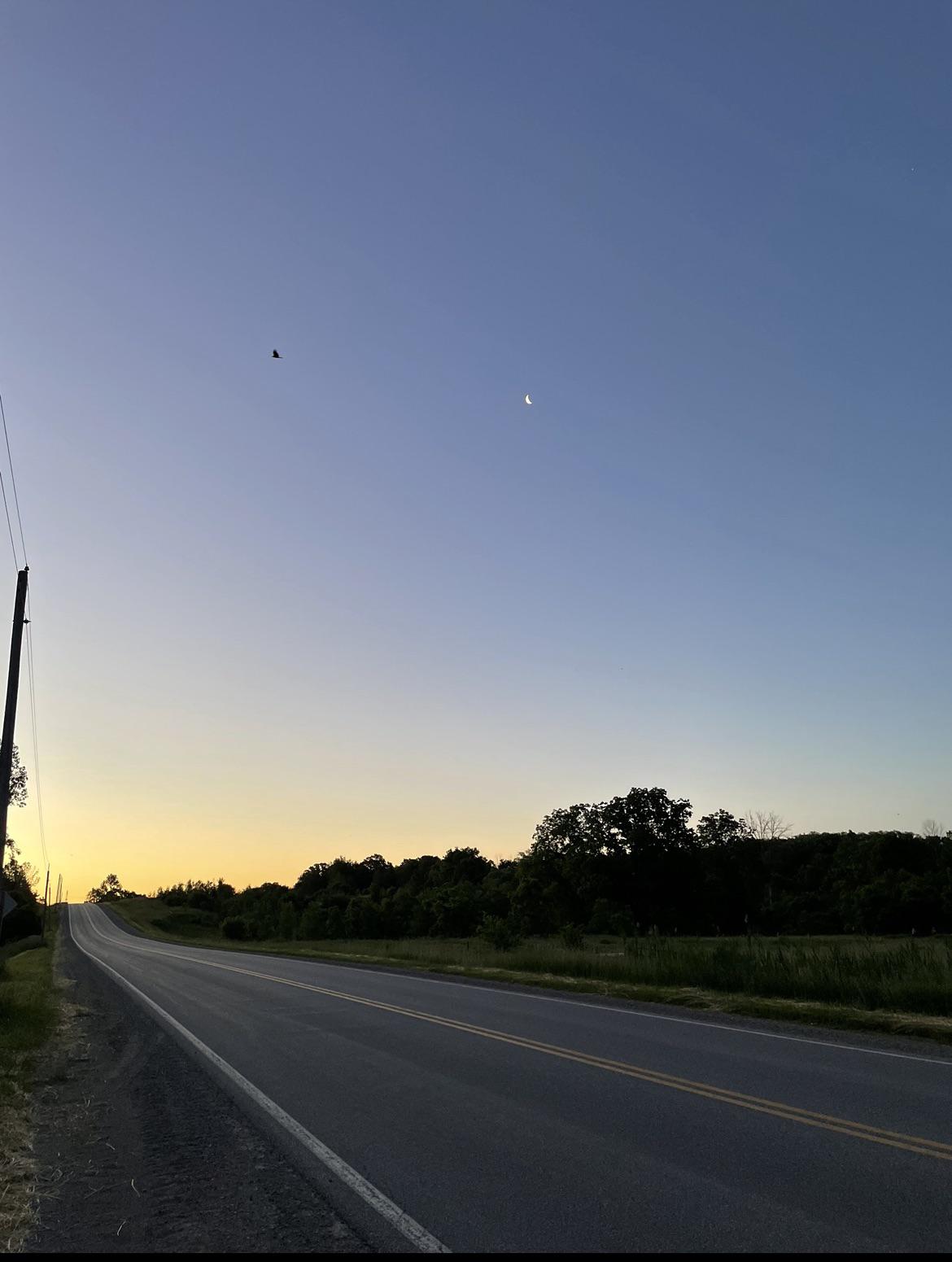 SW Ontario sunrise, earlier this week r/ontario