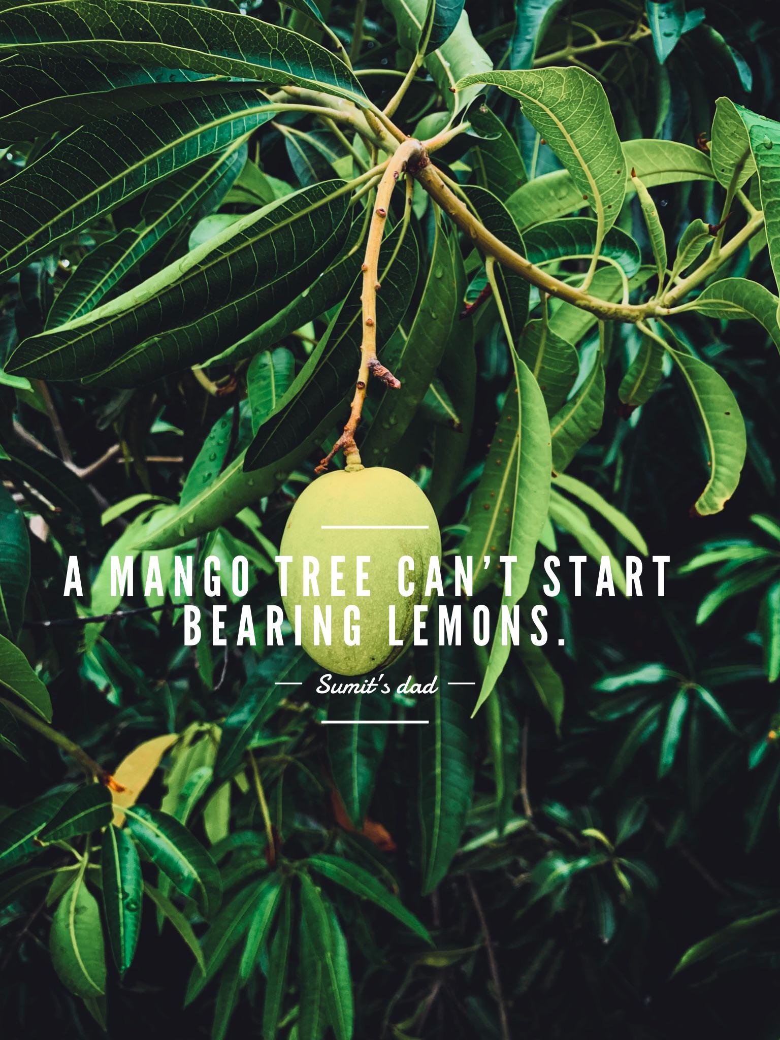 Mango Quote Mango On Twitter Words By Arizona Muse Inside The