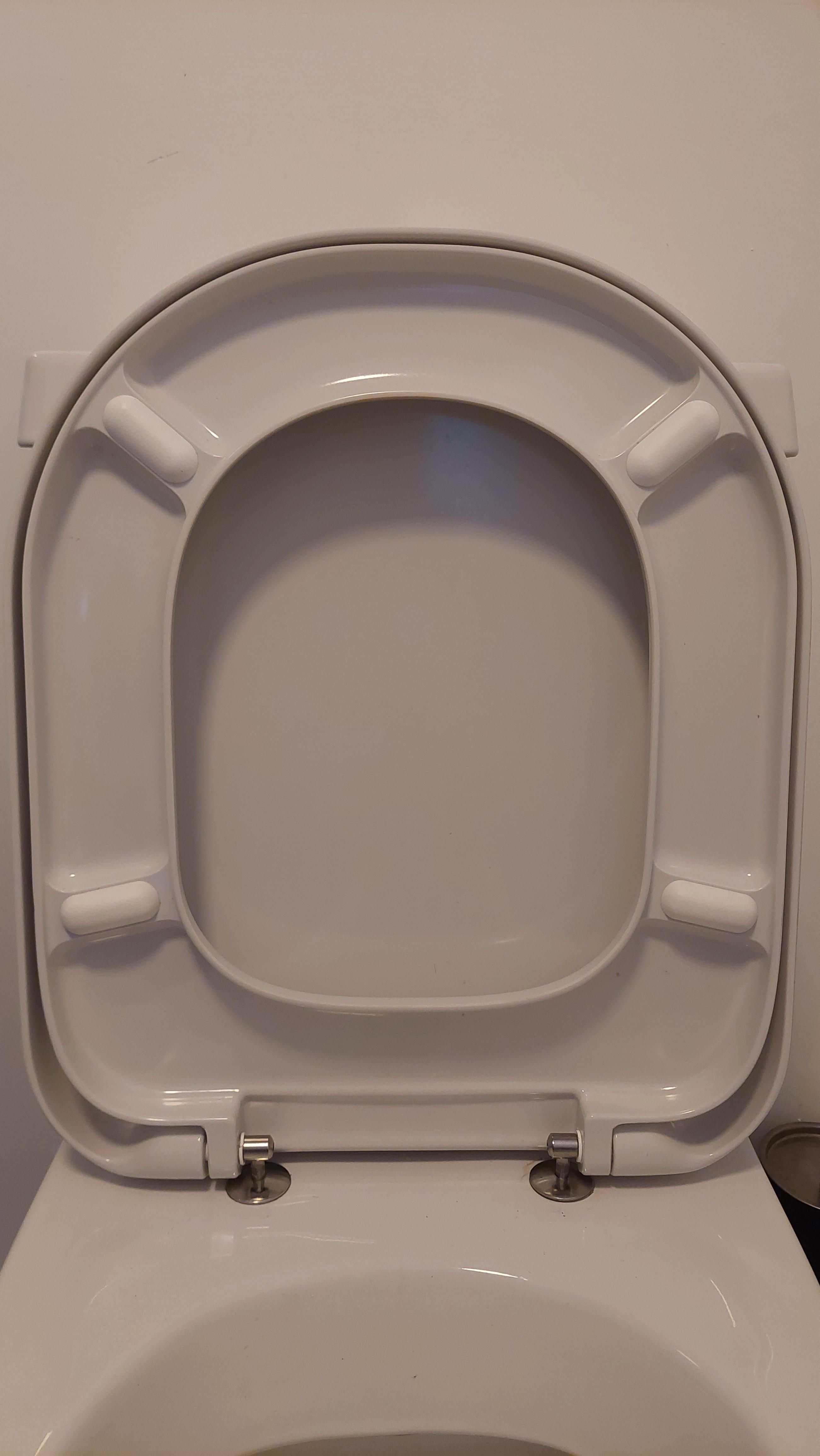 Can't Tighten Toilet Seat at Burton blog