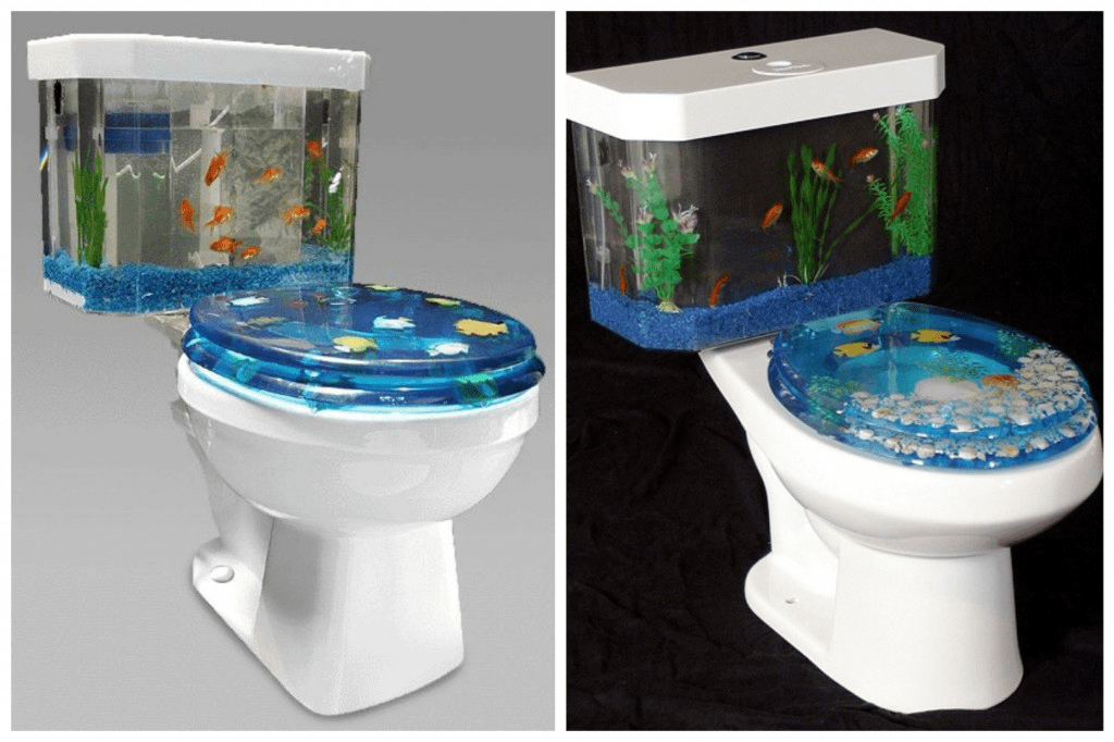 Fish Tank Toilet... r/shittyaquariums