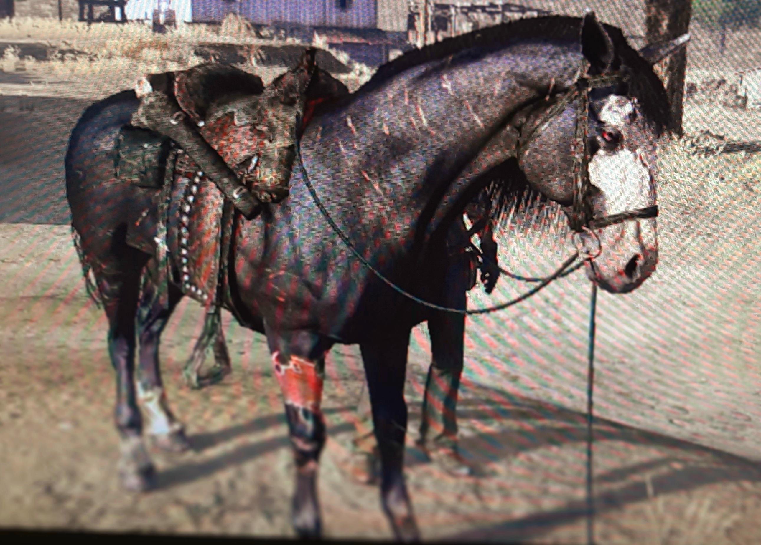 504 best Rdr1 images on Pholder Reddeadredemption, Reddeadfashion and