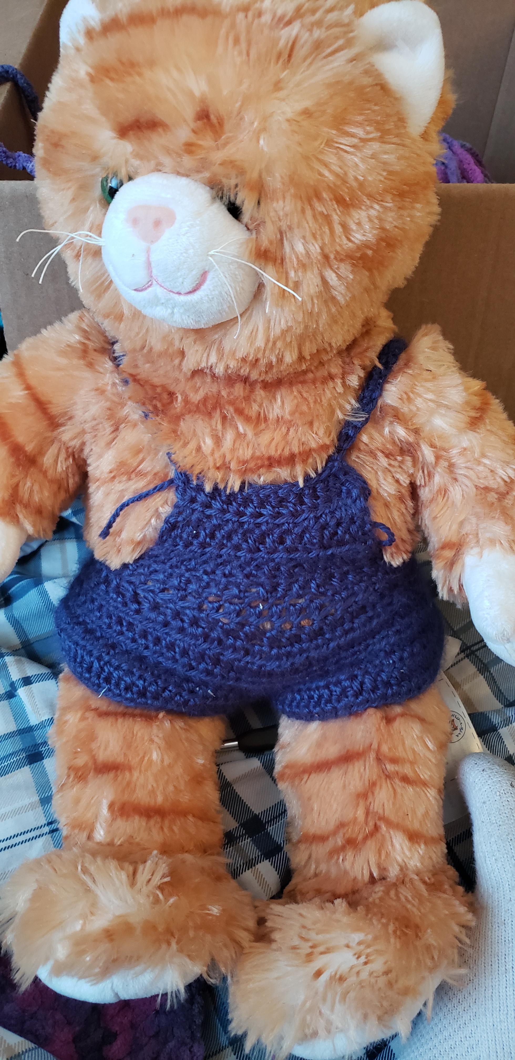 I made these overalls for the build a bear cat that willbe going to my