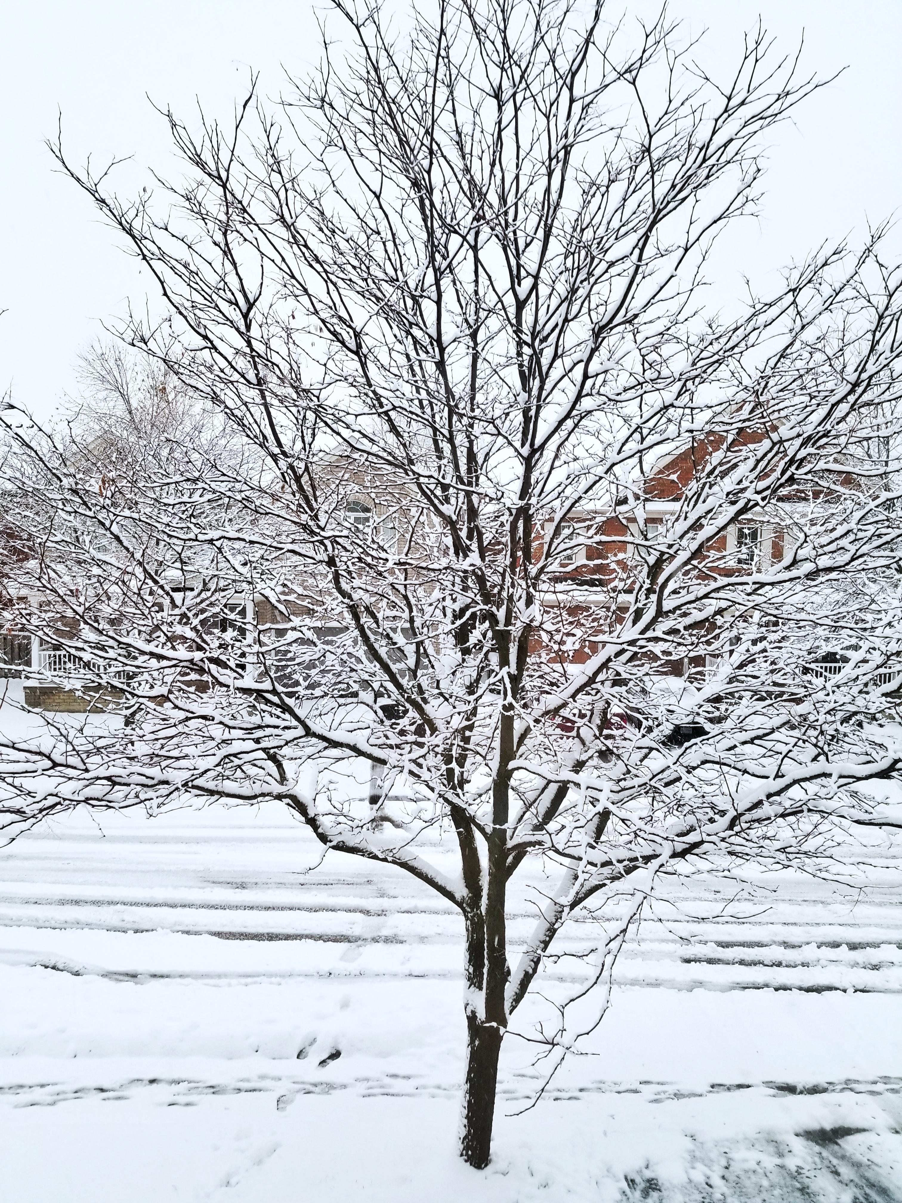 First snow of the season , ontario canada r/snowing