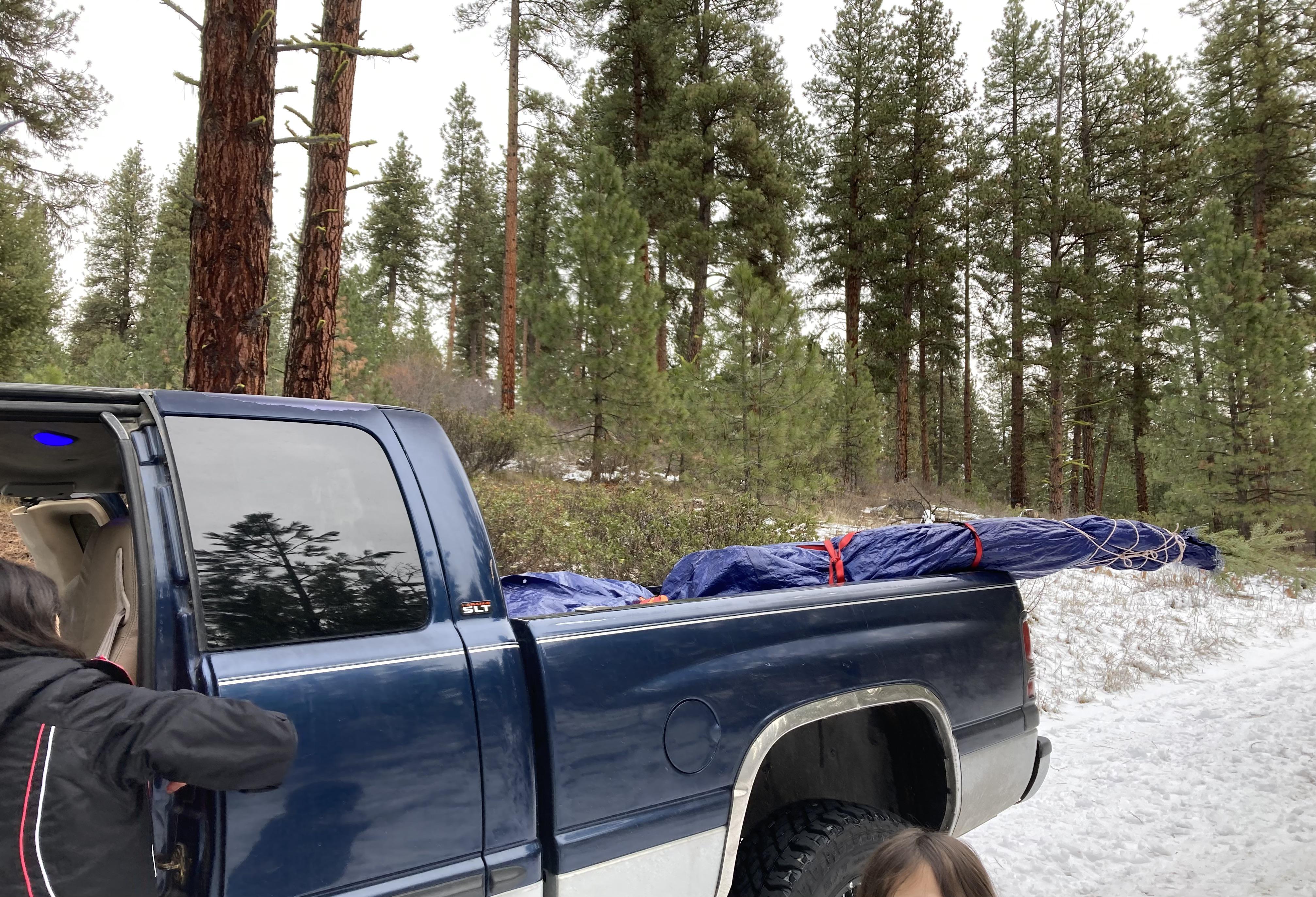 Nothing like cutting down a Christmas tree with the family. Kids had a