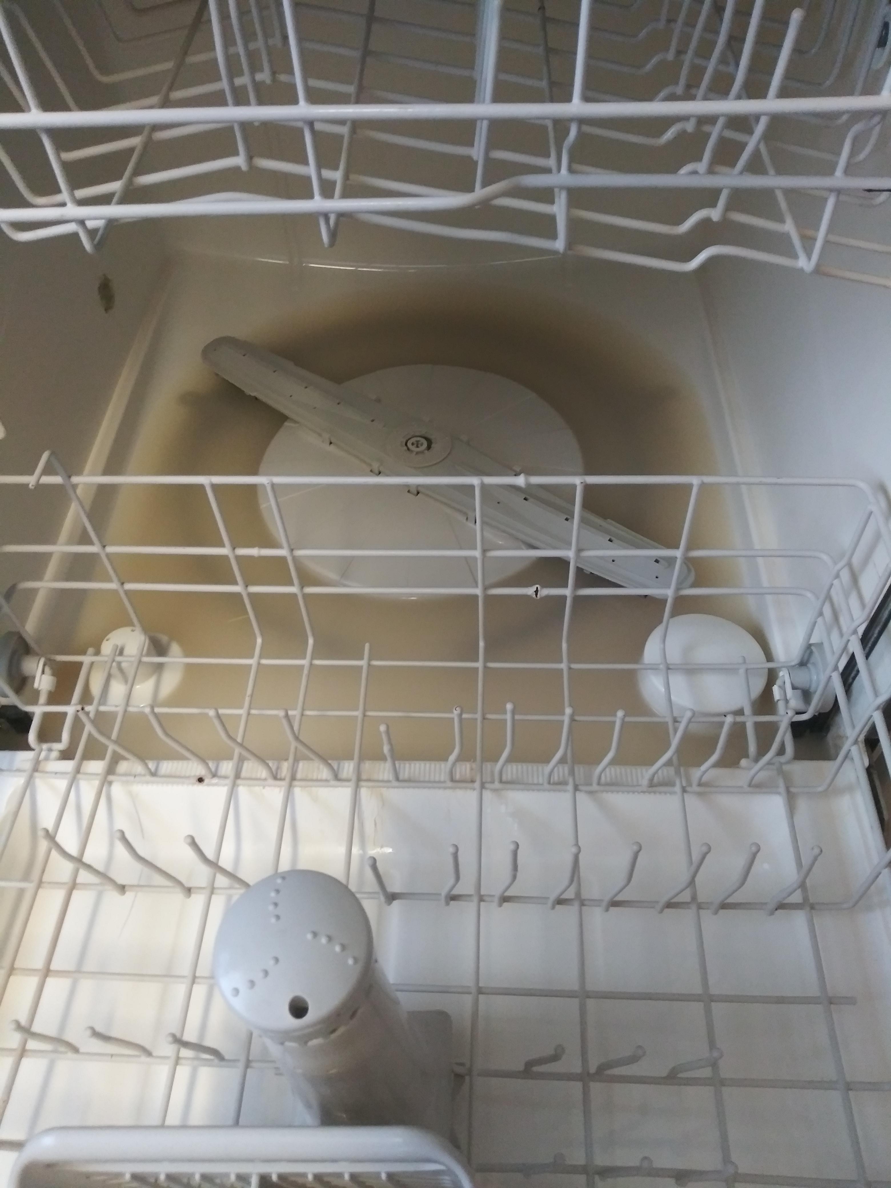 This is water in my dishwasher that I had to clean out, it smelt worse than about anything else