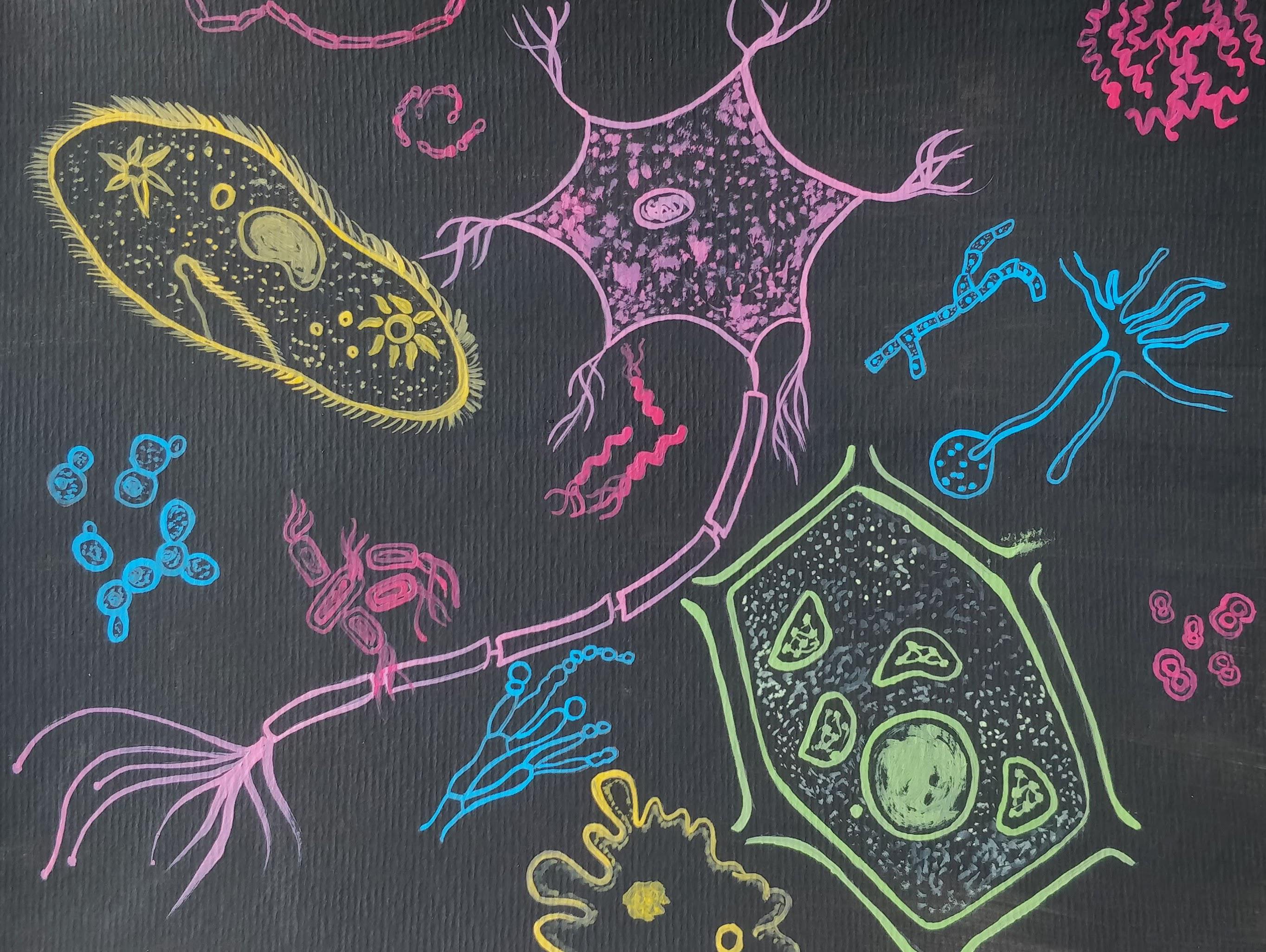 [OC] The Story of The Cell Origin and Evolution. From a primitive