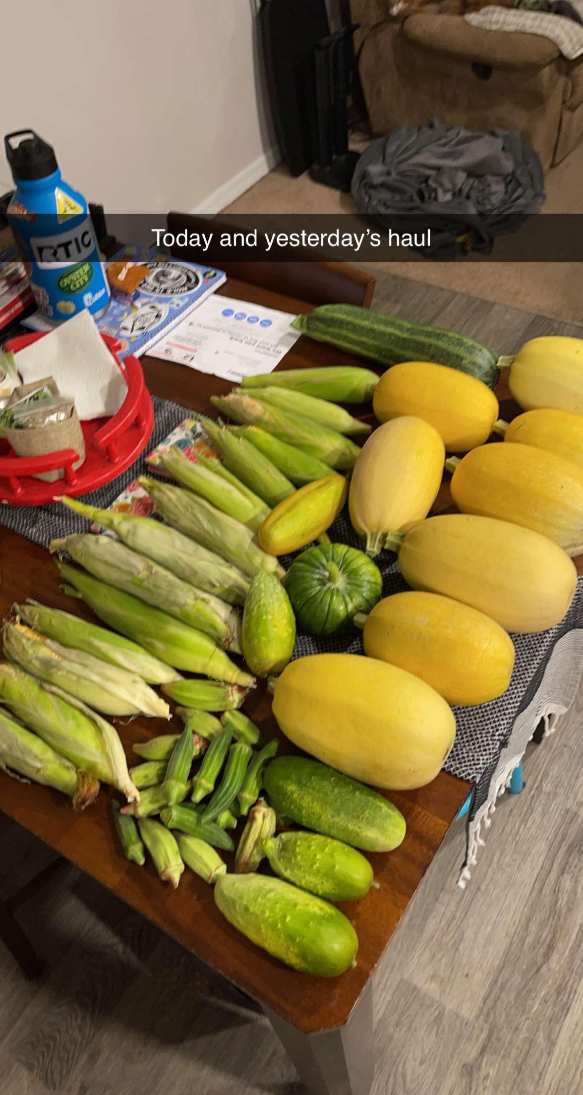 My first garden , today’s haul. Any good ideas what to do with squash