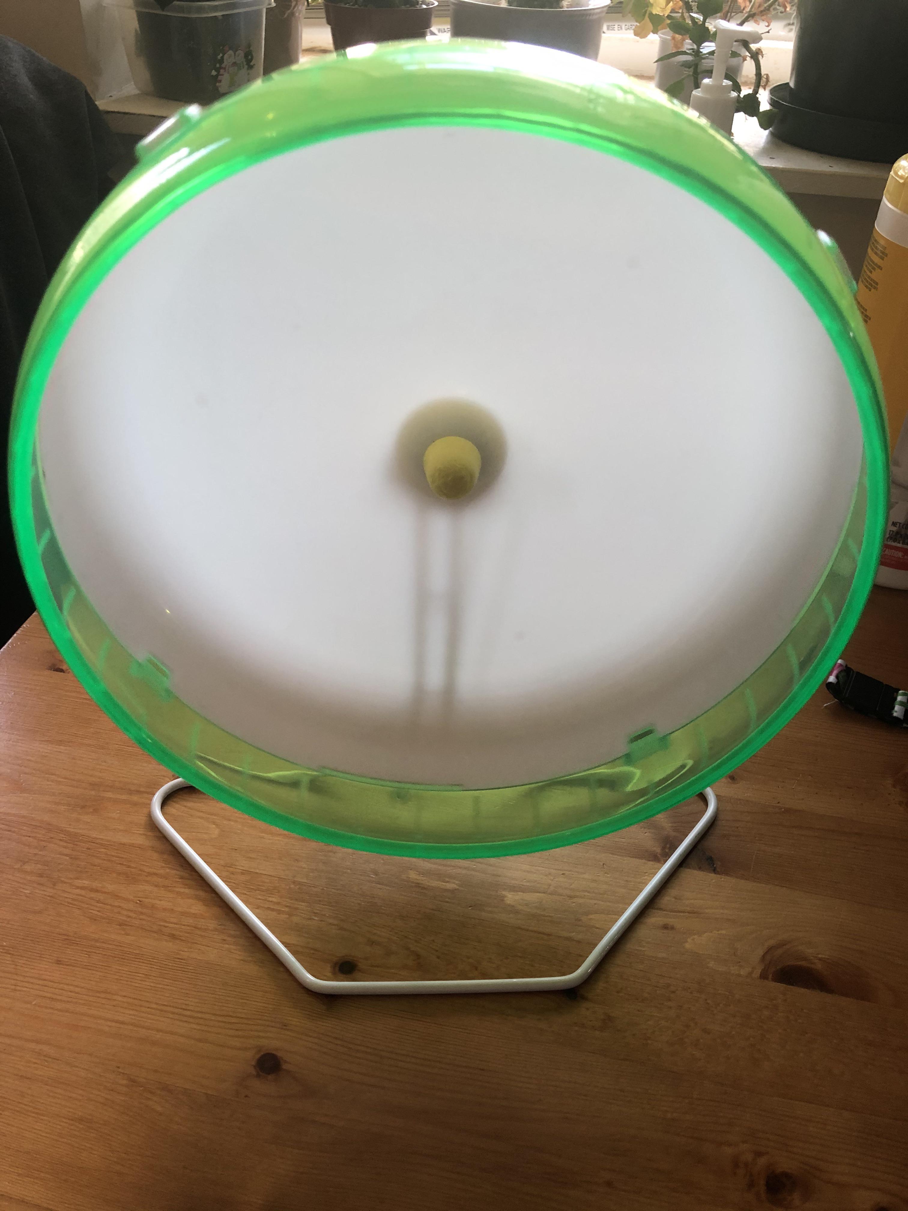 Kaytee 10 inch silent spinner! r/hamstersdontjudge