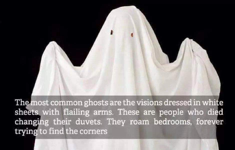 Ghosts r/funny