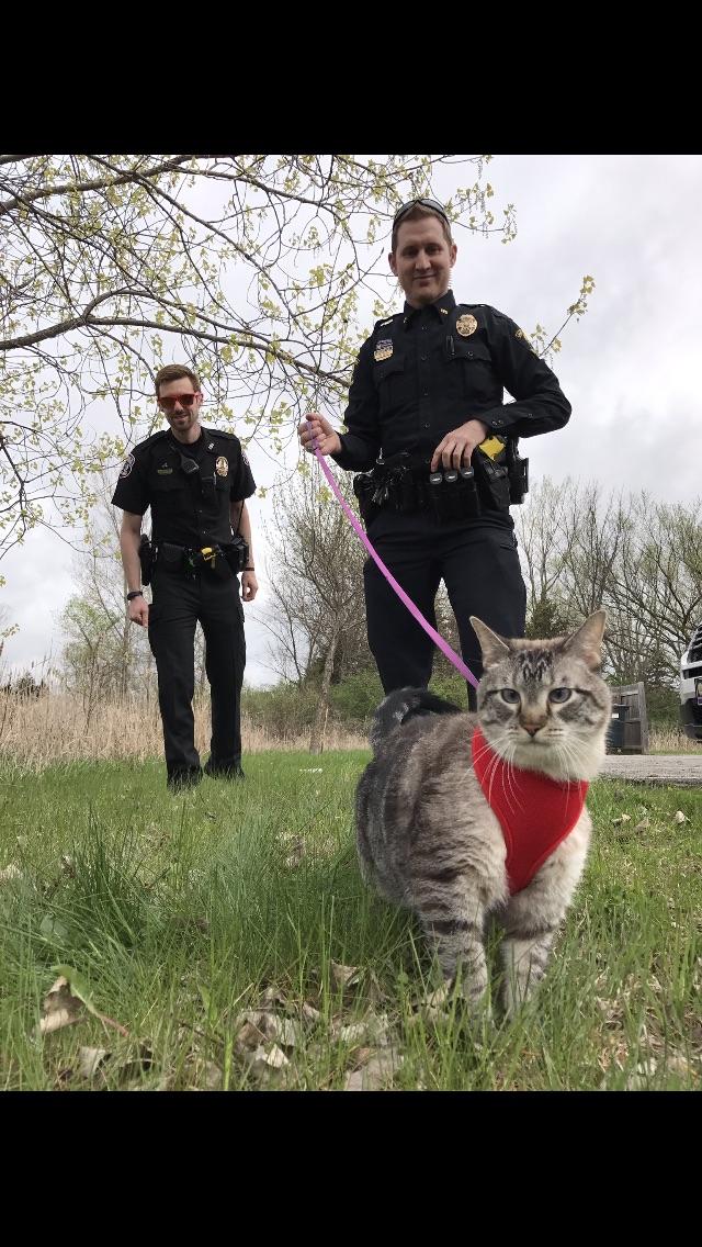 A drug sniffing cat named Carlos r/Images