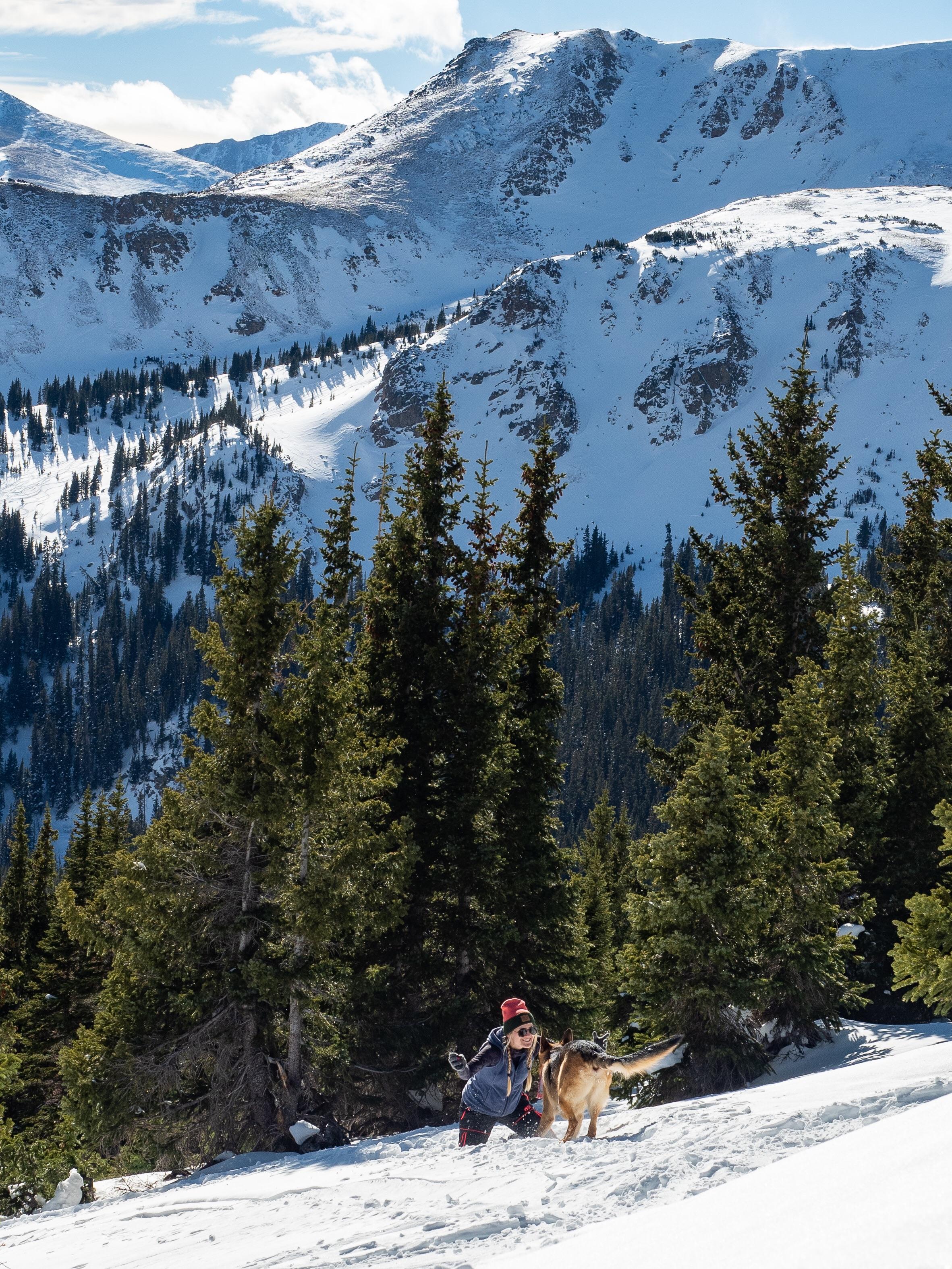 Playing with my pup in the backcountry. Berthoud Pass, Colorado Rockies
