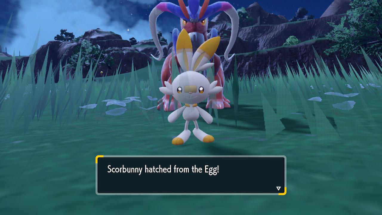 [9] Hatched a Shiny Scorbunny at 33 eggs! r/ShinyPokemon