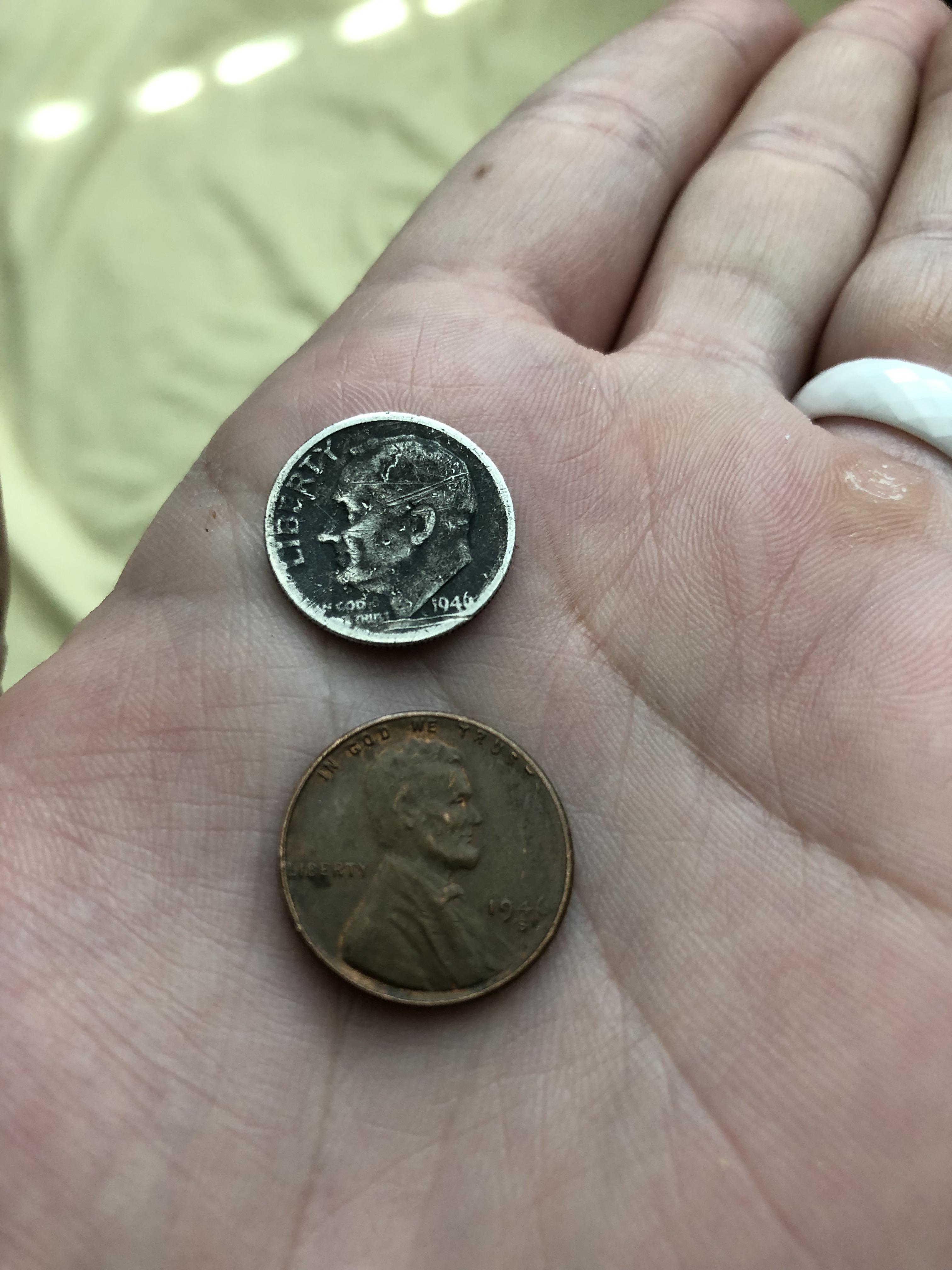 Hot Diggity Dog, Coinstar came through! A wheaty and a