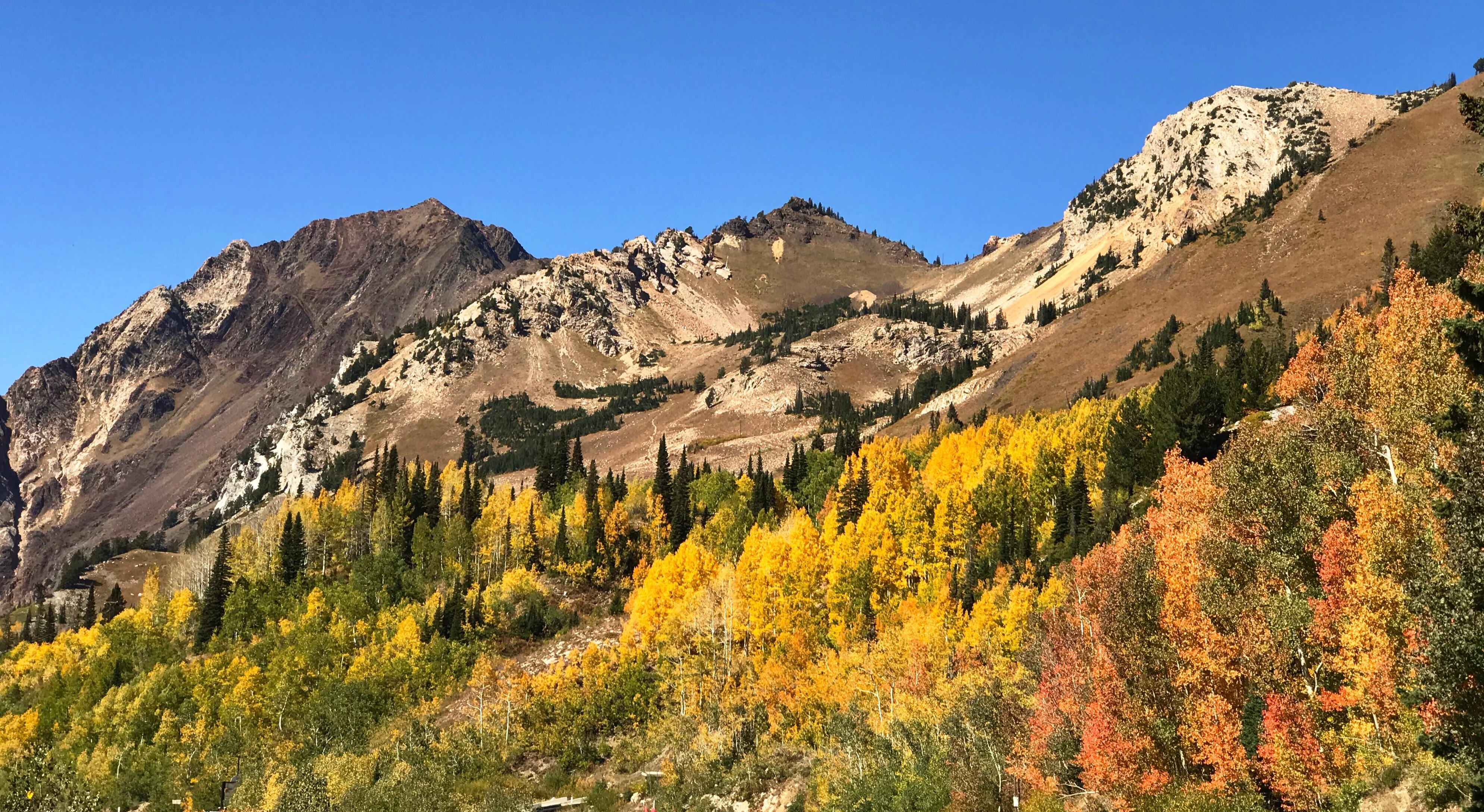 Fall Leaves at Alta Ski Resort, Alta Utah, [OC] (3980x2178) r/EarthPorn