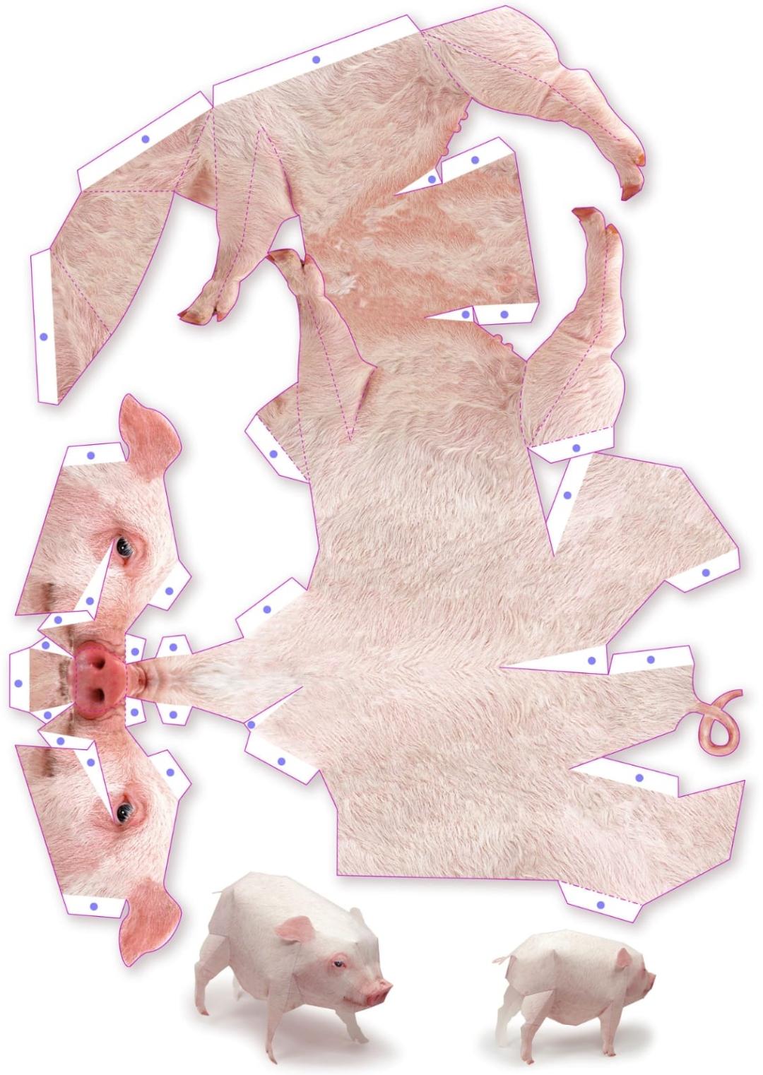 This is a Pig r/papercraft