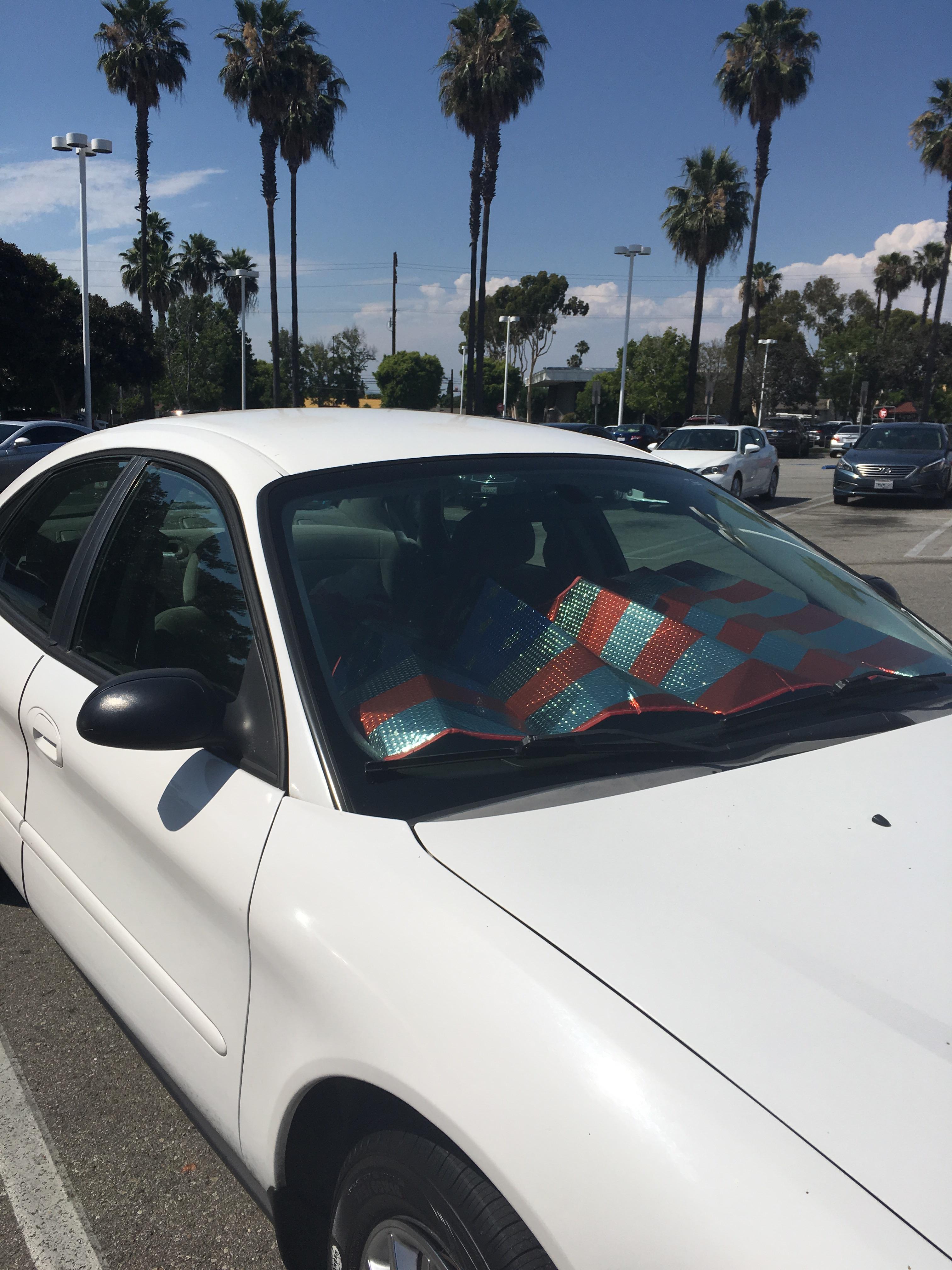 To use a car sun shade r/therewasanattempt