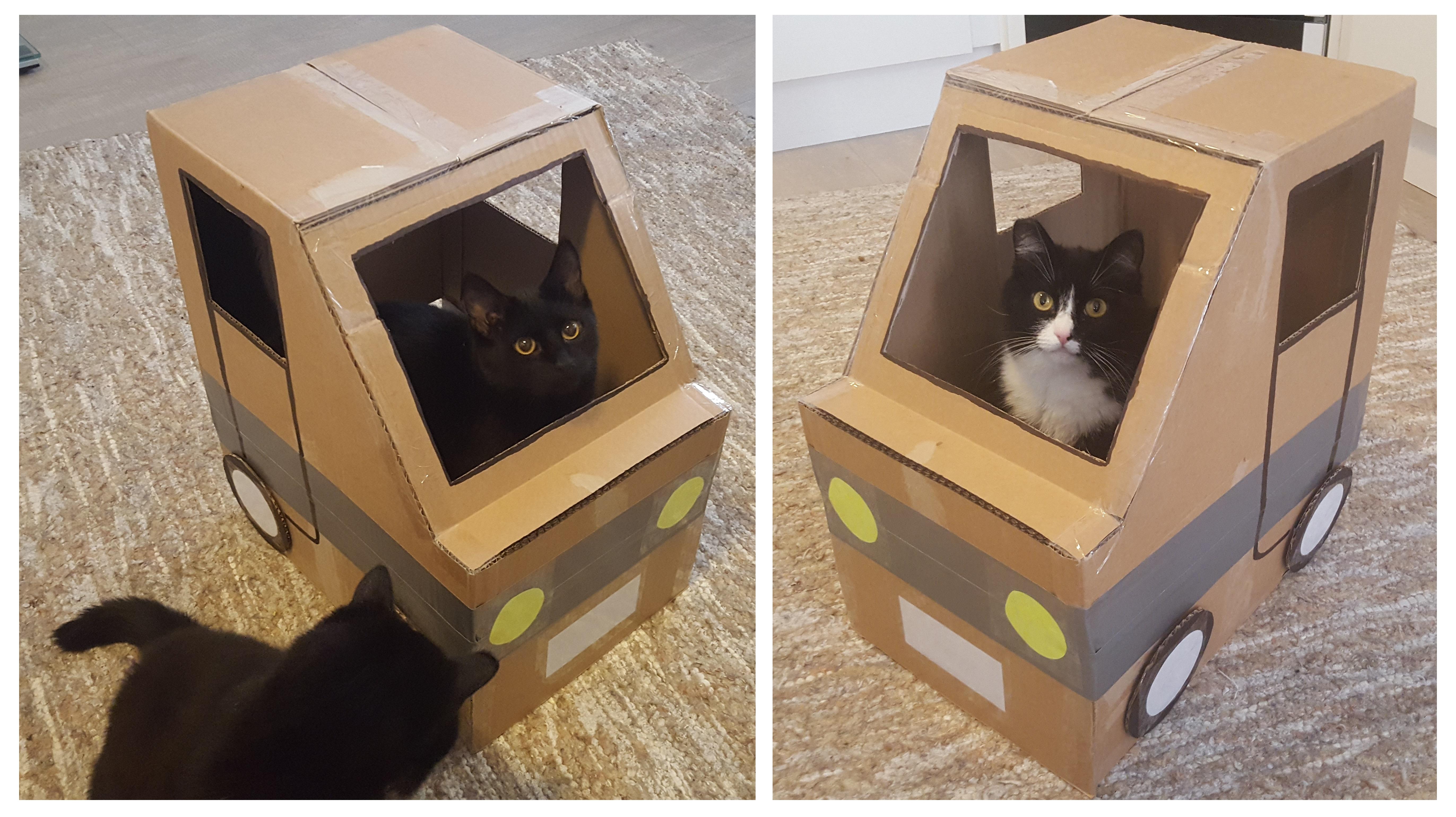 Make way for the kitty cardboard truck! r/nekoatsume