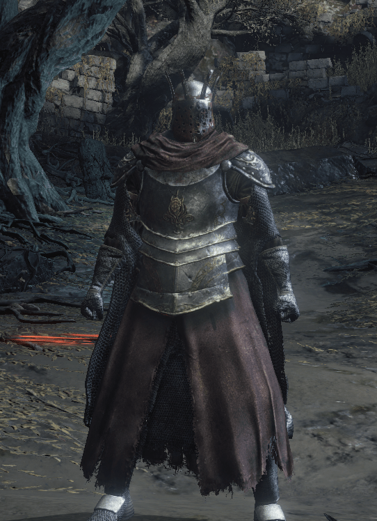 Paladin Leudgar (Helm of Favor*Modded*, Cathedral Knight Armor, Mirrah
