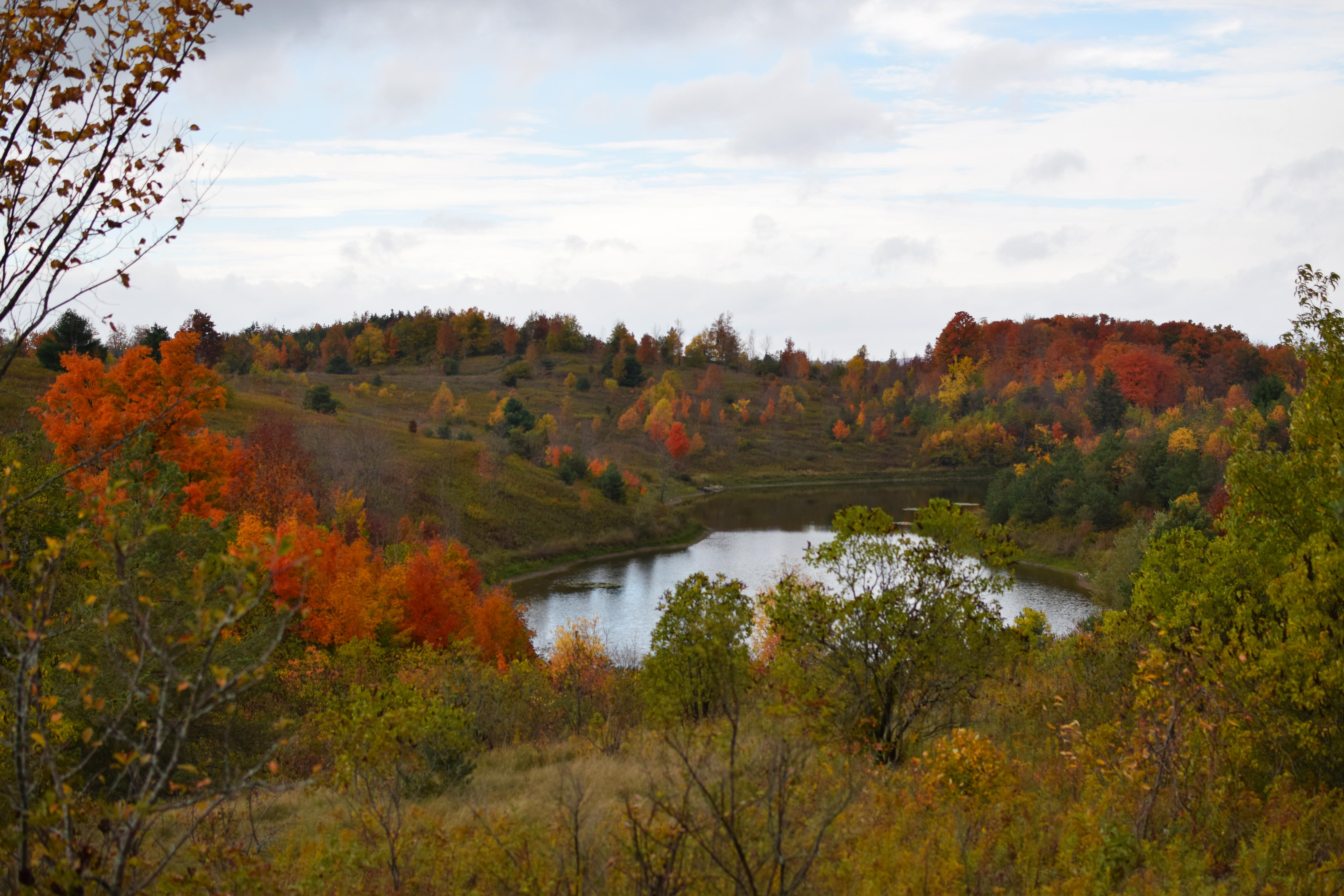 Forks of the Credit Provincial Park, Ontario, Canada [OC