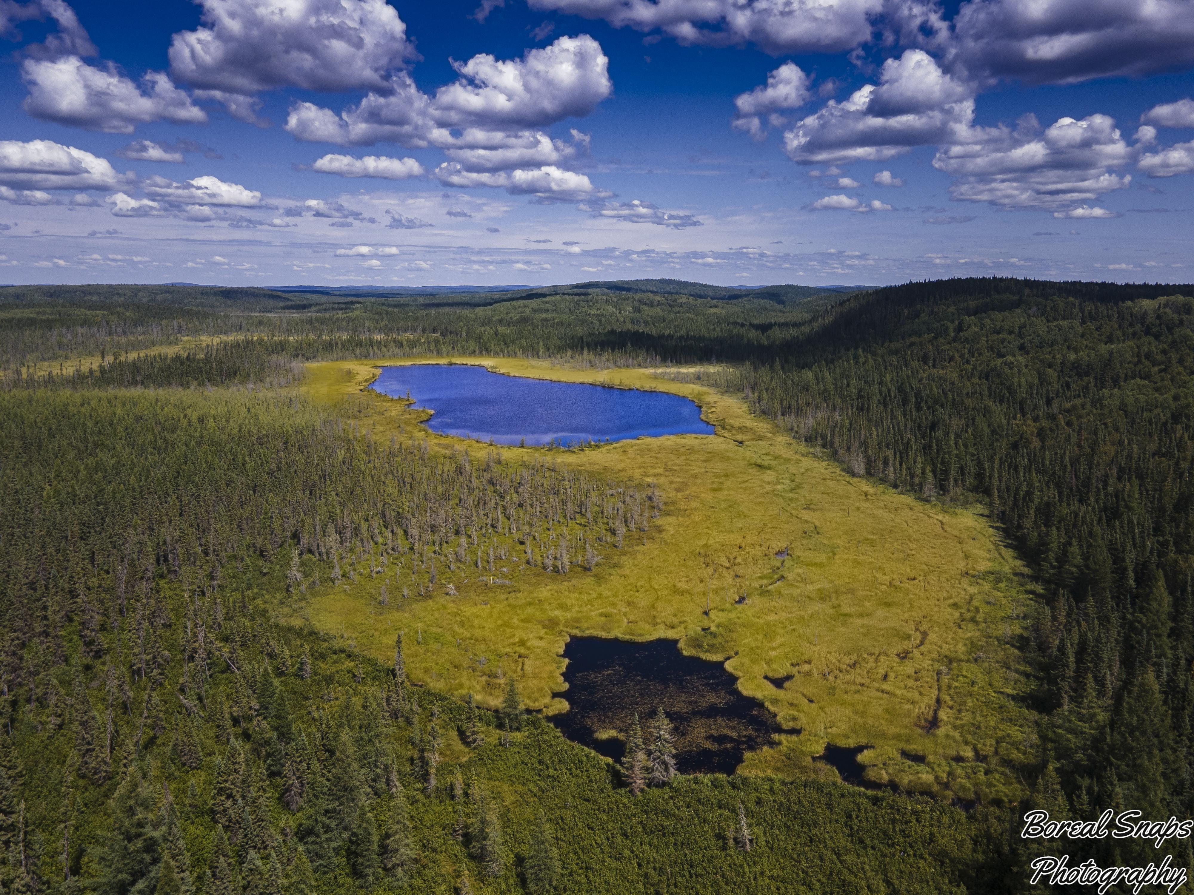 Lake nestled in the Canadian boreal forests, Thunder Bay district [4000