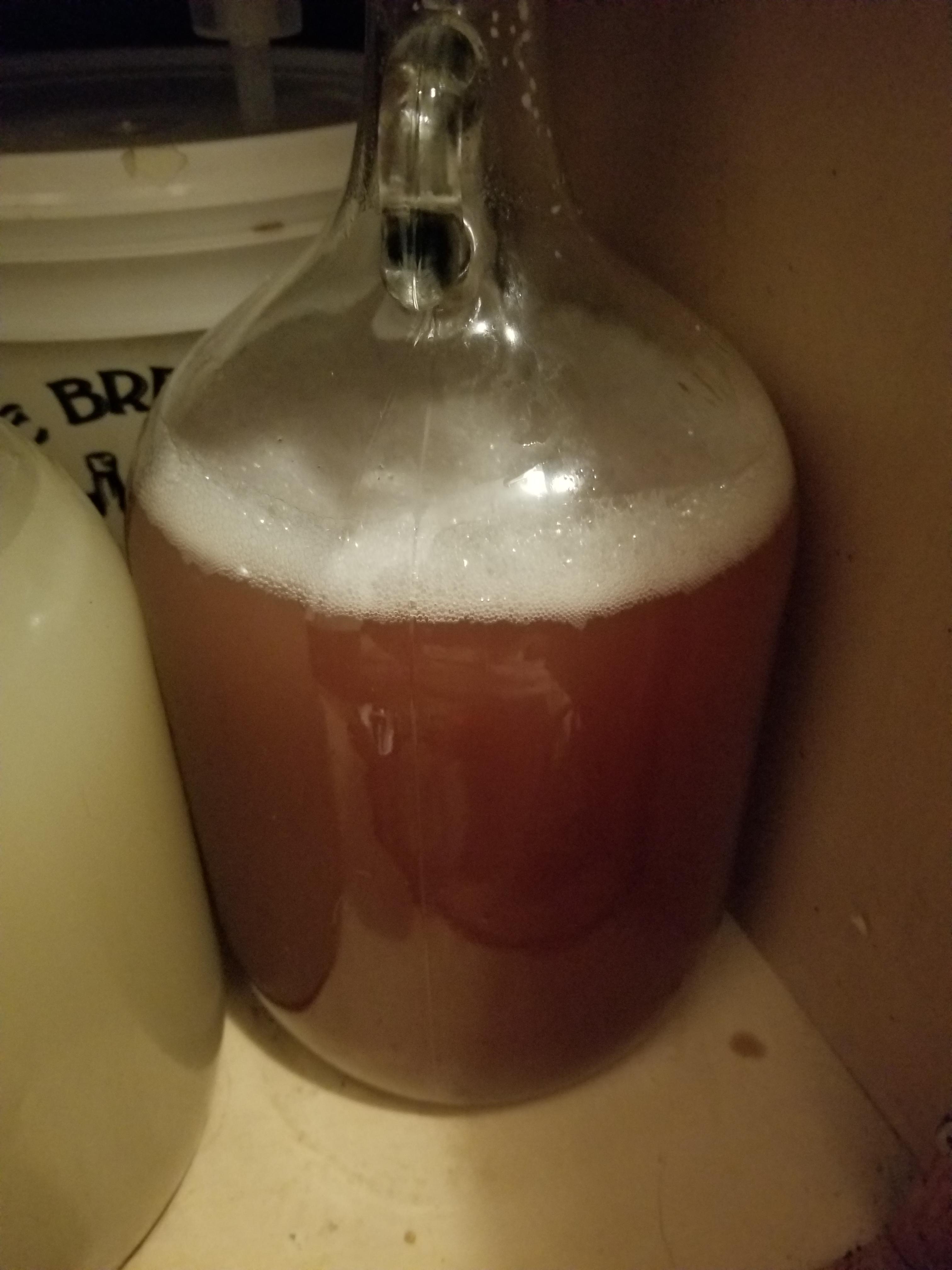 Cherry wine going real strong, day 5 r/winemaking