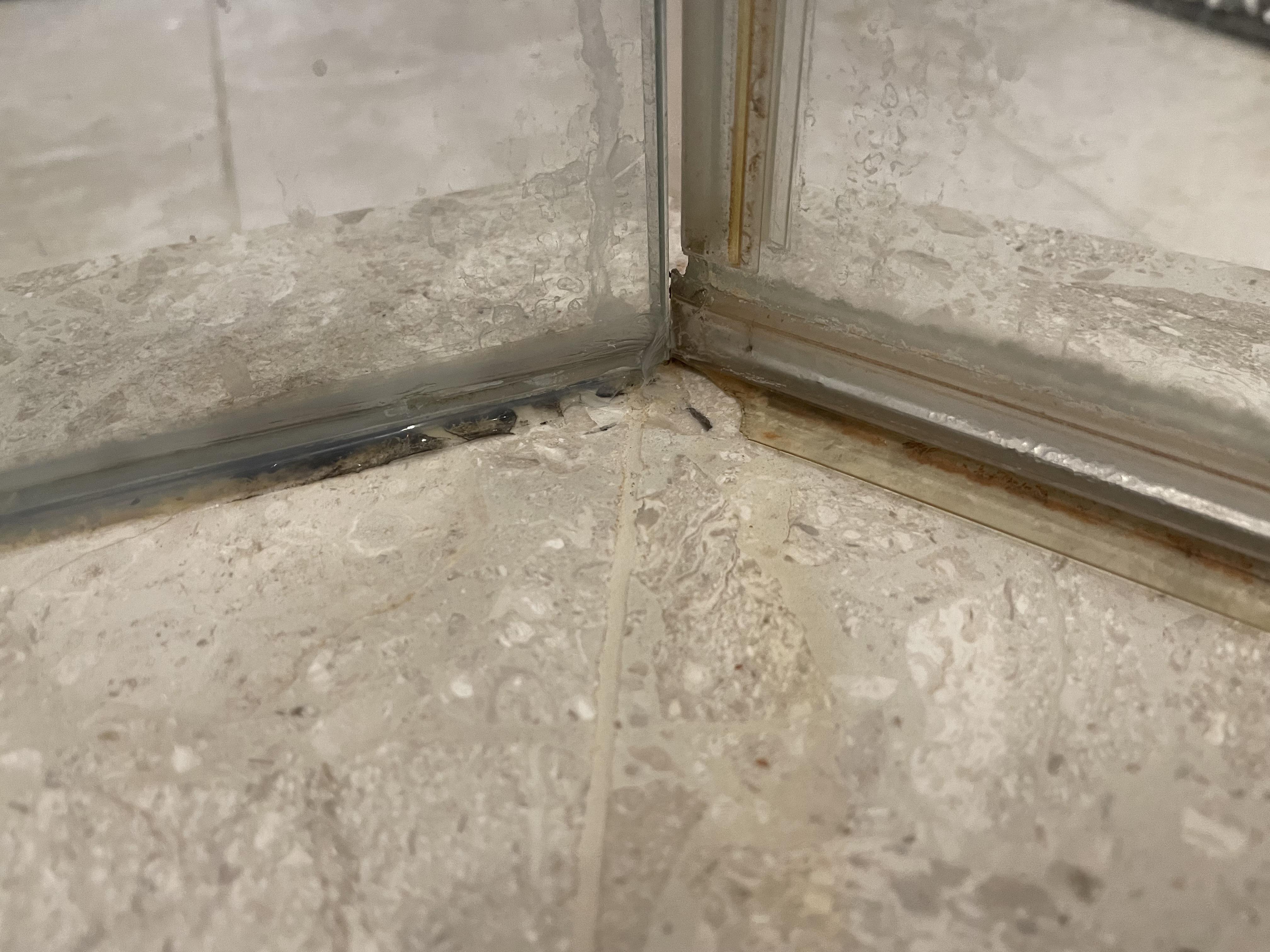Black and brown stuff under caulking & strip on shower stall door