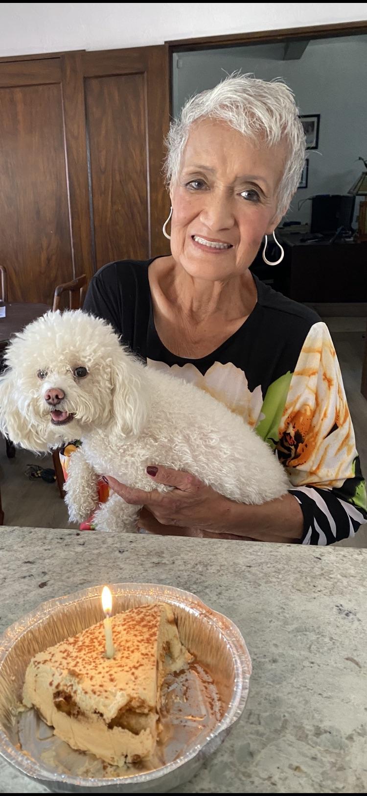 Picky eater r/Maltipoo