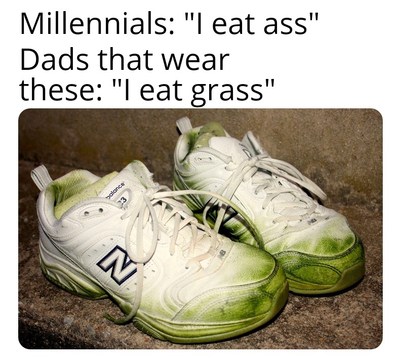 What New Balance Dads eat r/memes