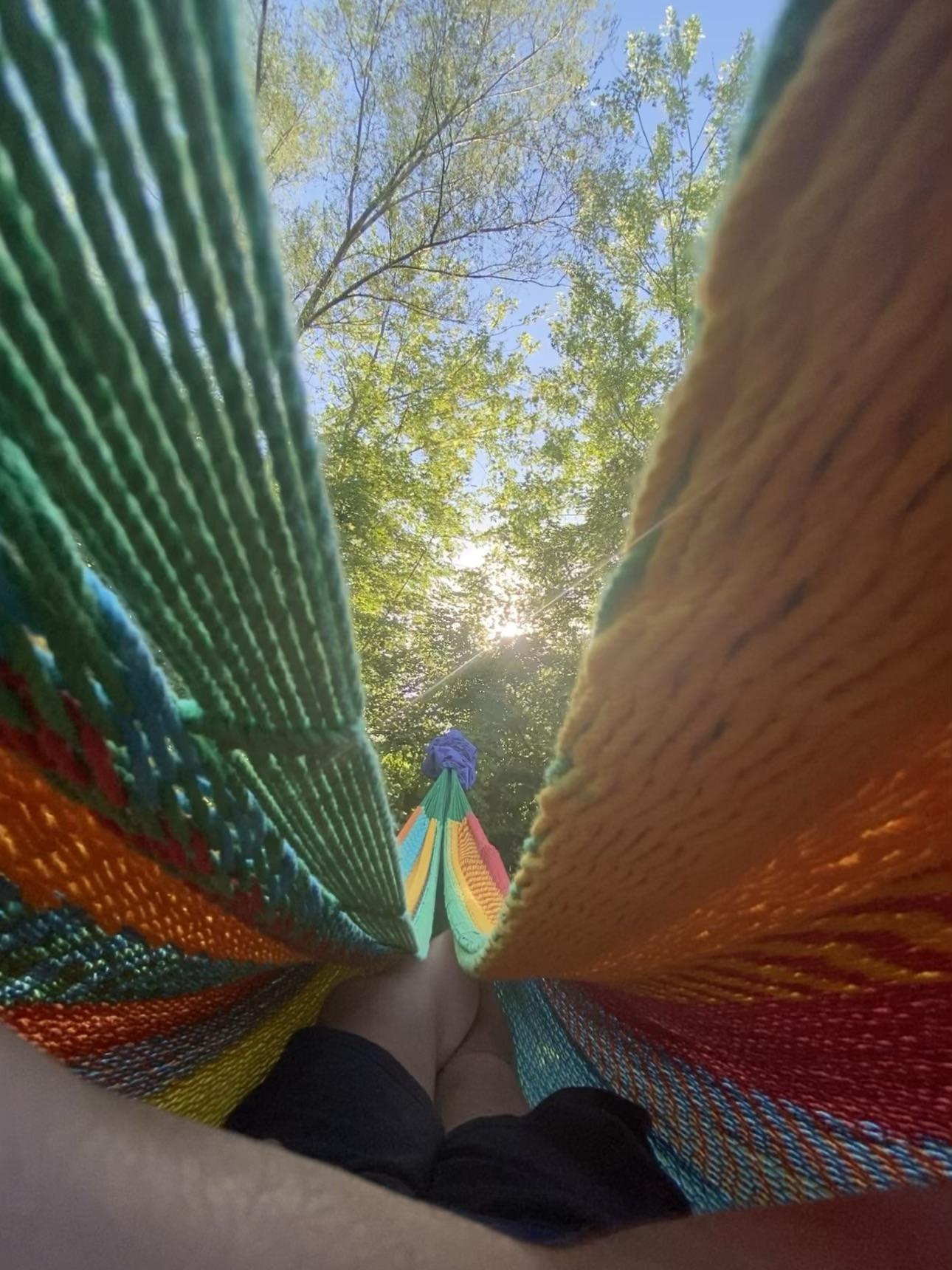 Safe in my hammock r/Hammocks